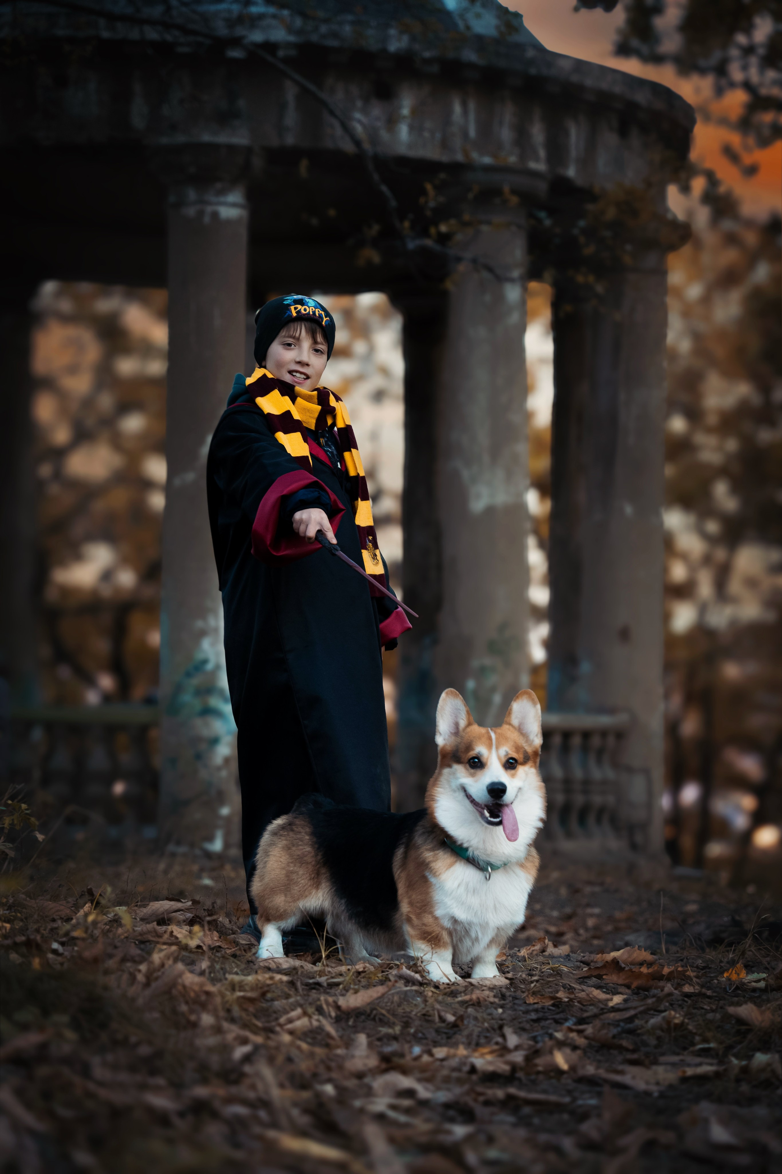 Хэллоуин. Семейный фотограф анималист г. Находка