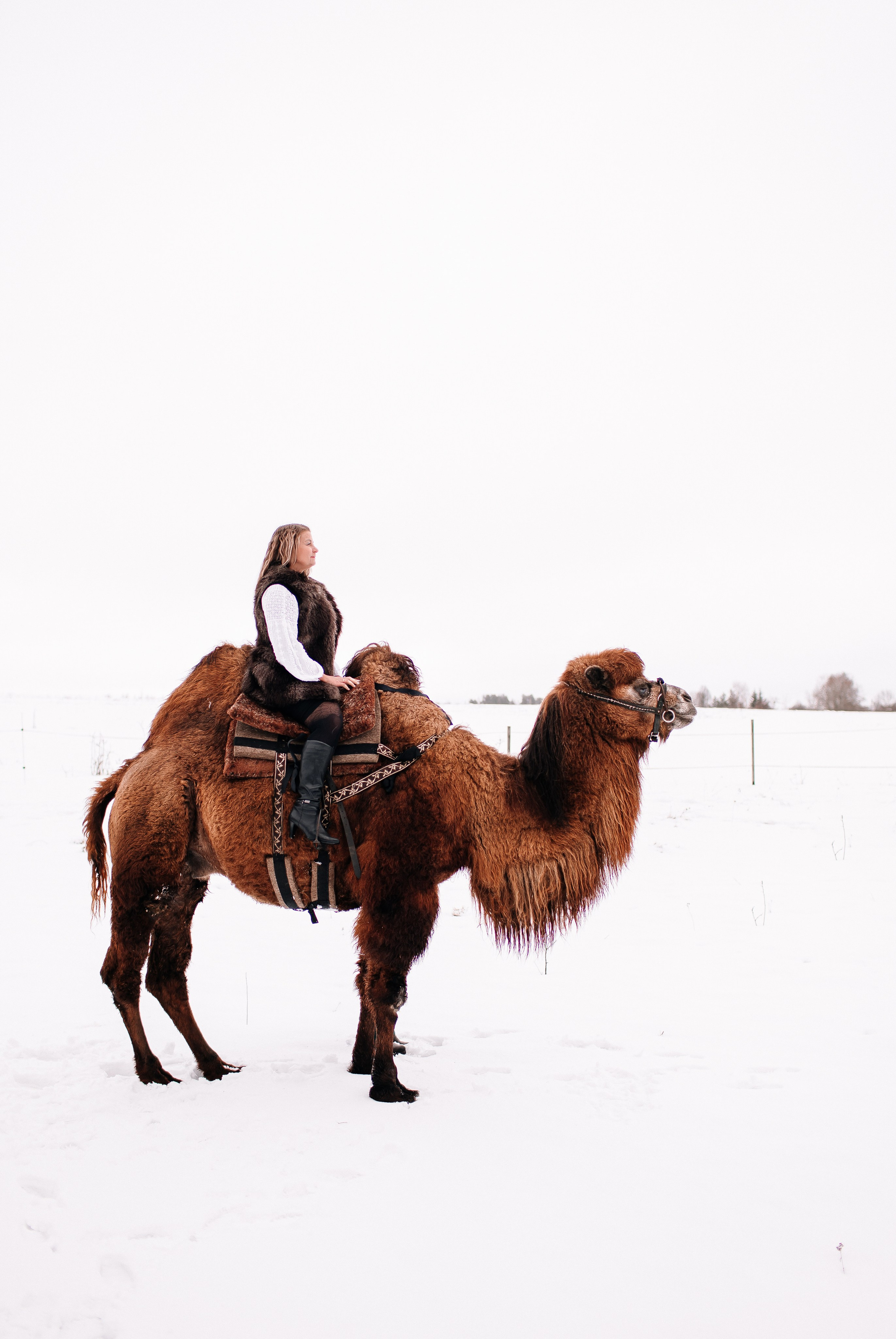Леденящее приключение. Фотосессии Фотодни Псков СПб