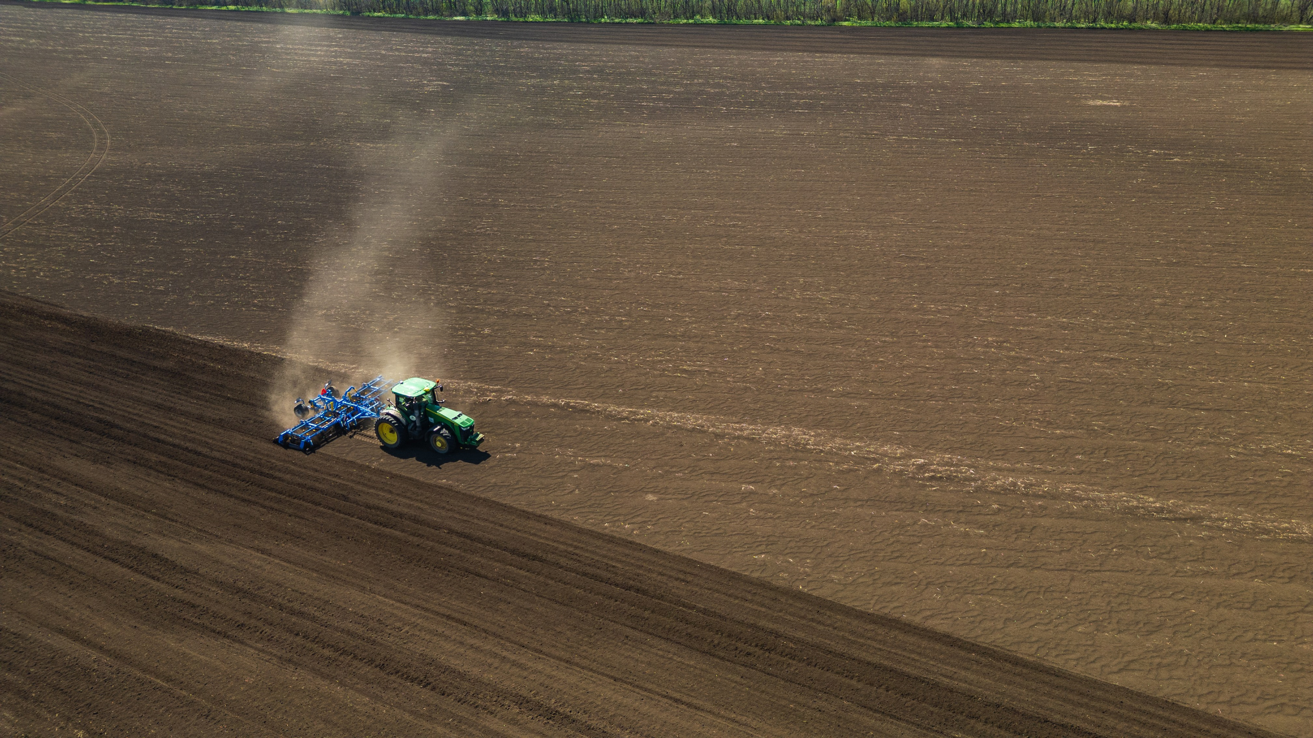 Проекты. Профессиональный фотограф Вячеслав Плацында | Липецк |