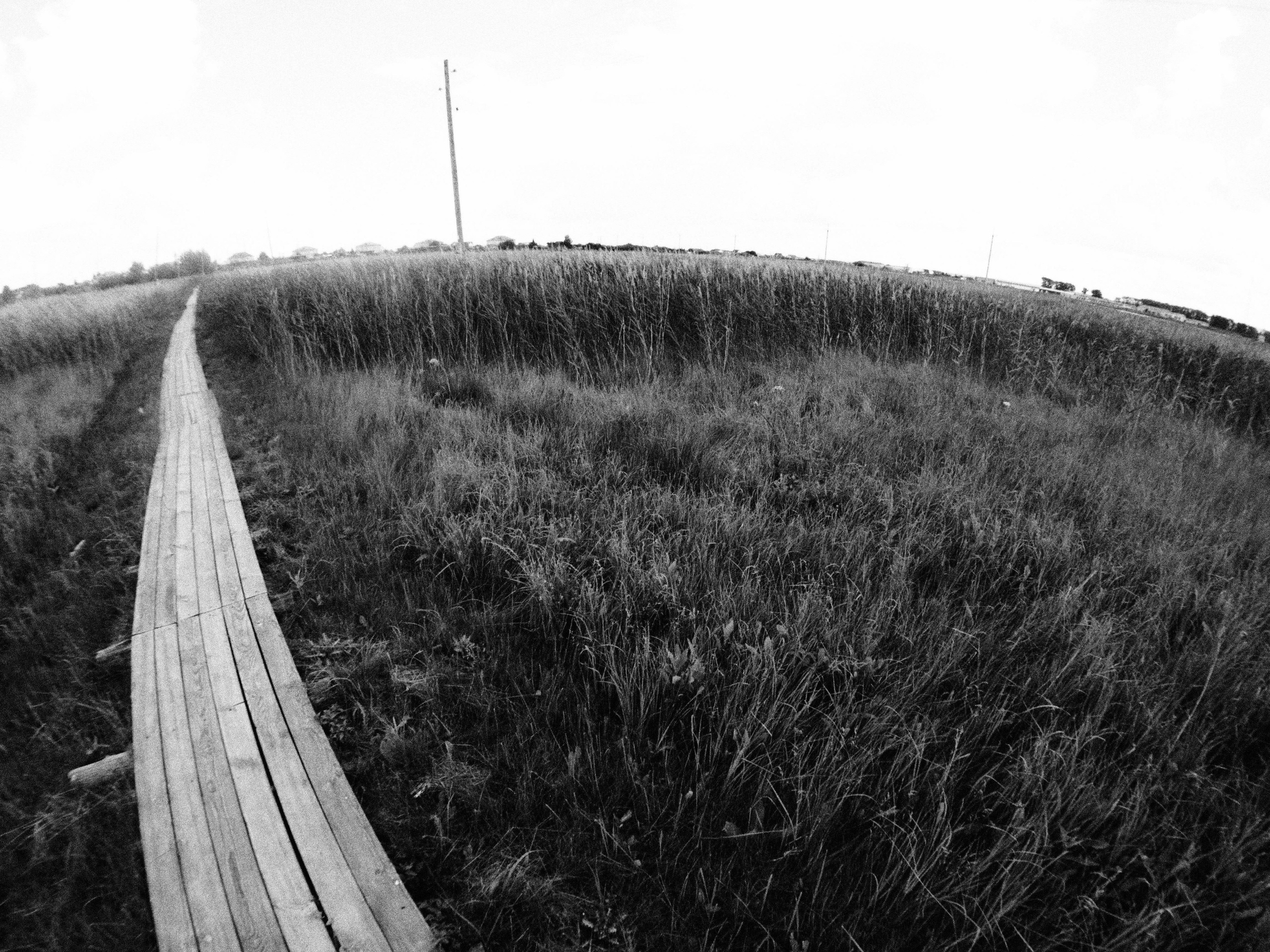 Промежуточные моменты (2023)