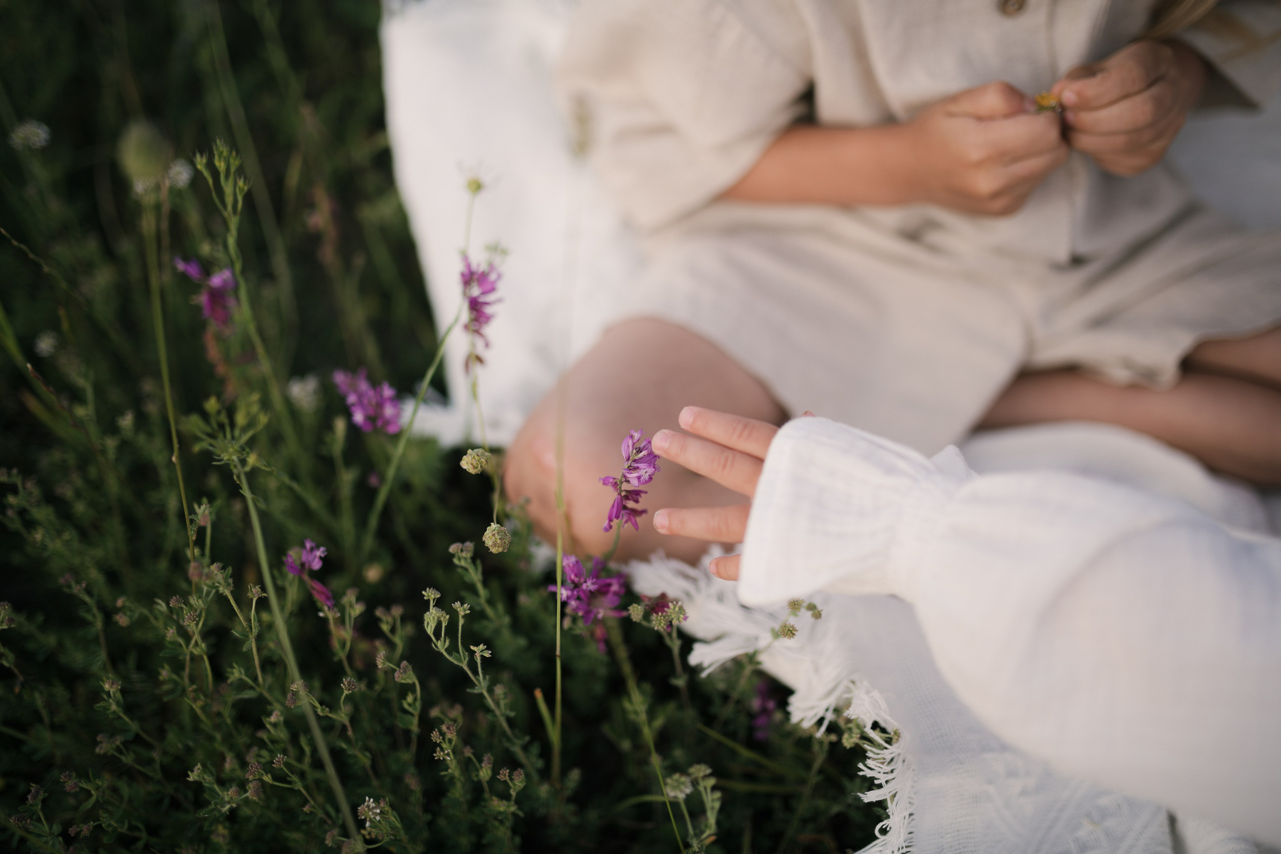 Семейные. Свадебный и семейный фотограф в Севастополе и Крыму Алина Зорина