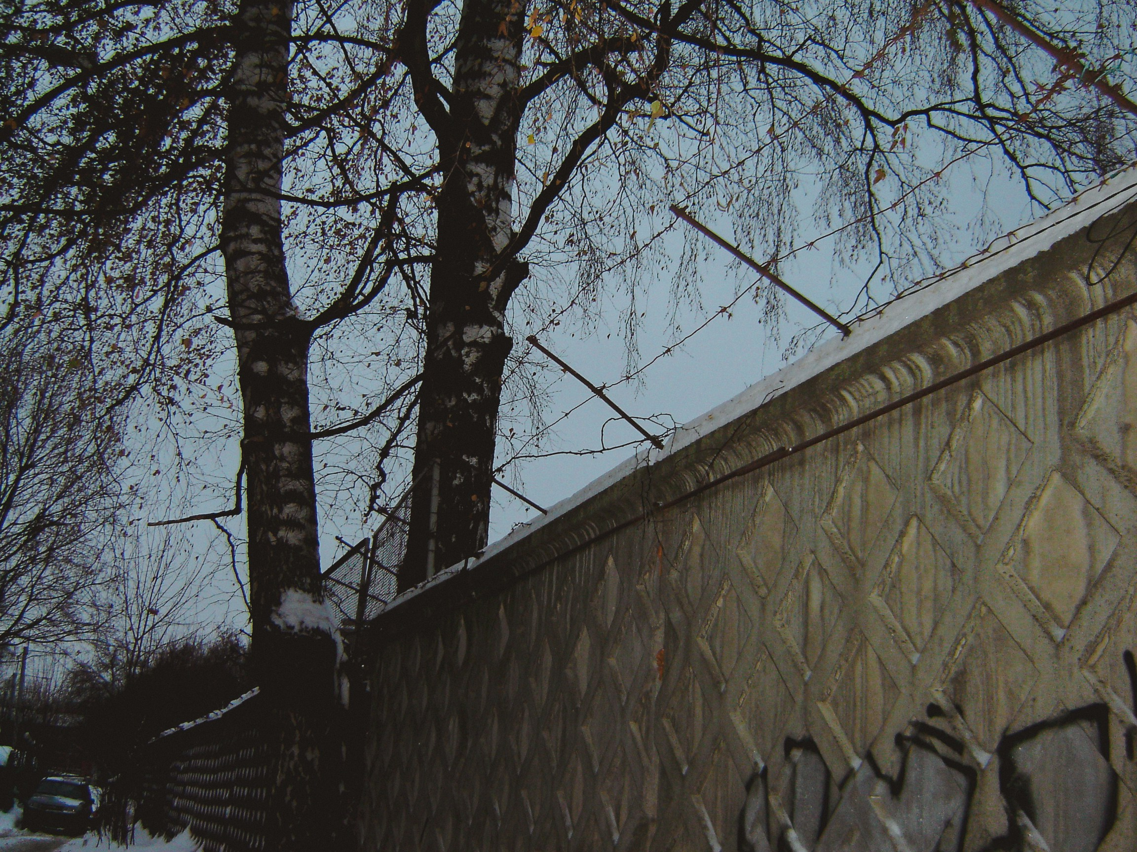 Sony cyber shot dsc p50. Анна Мильч