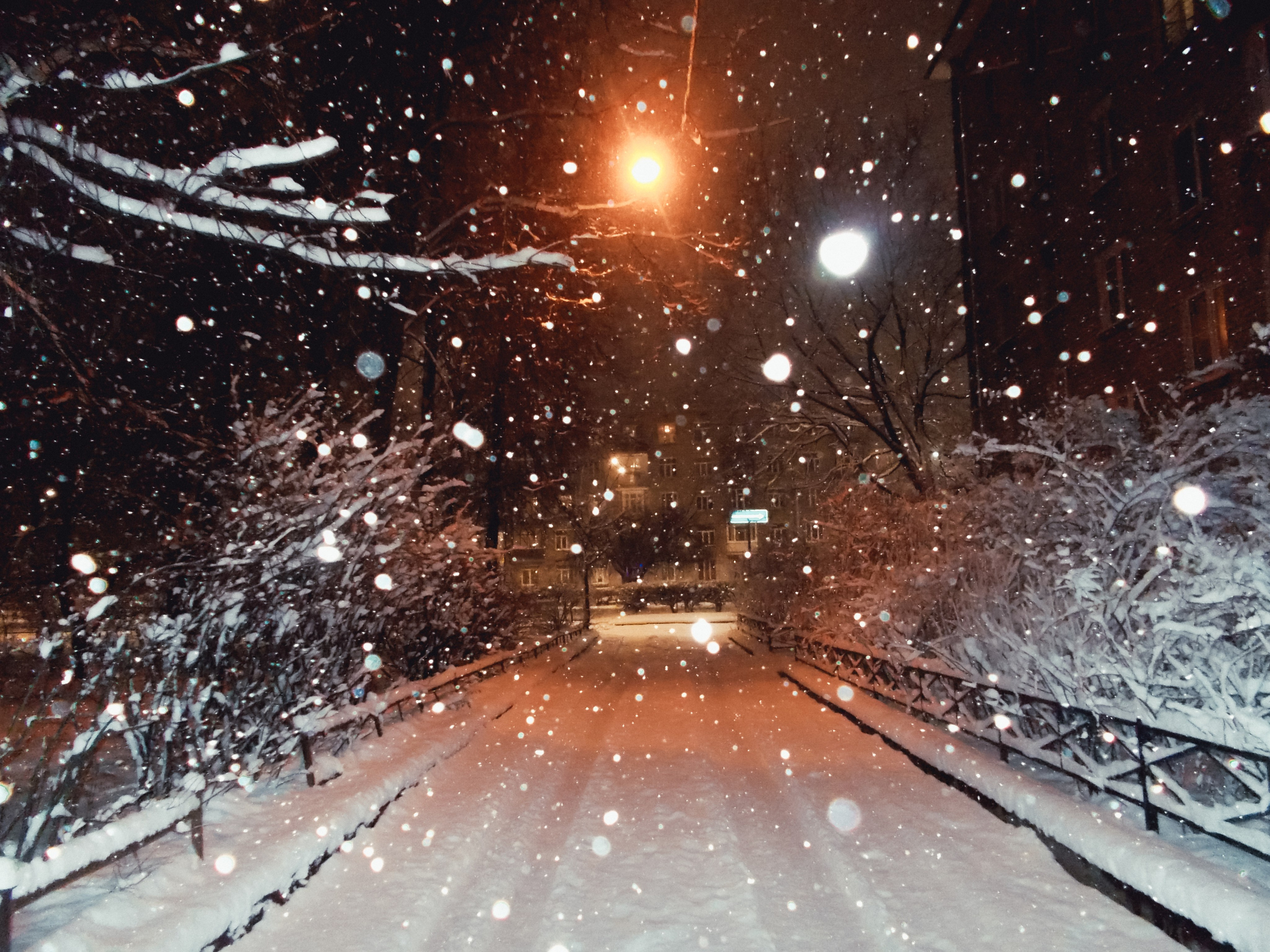 Nikon coolpix l26. Анна Мильч