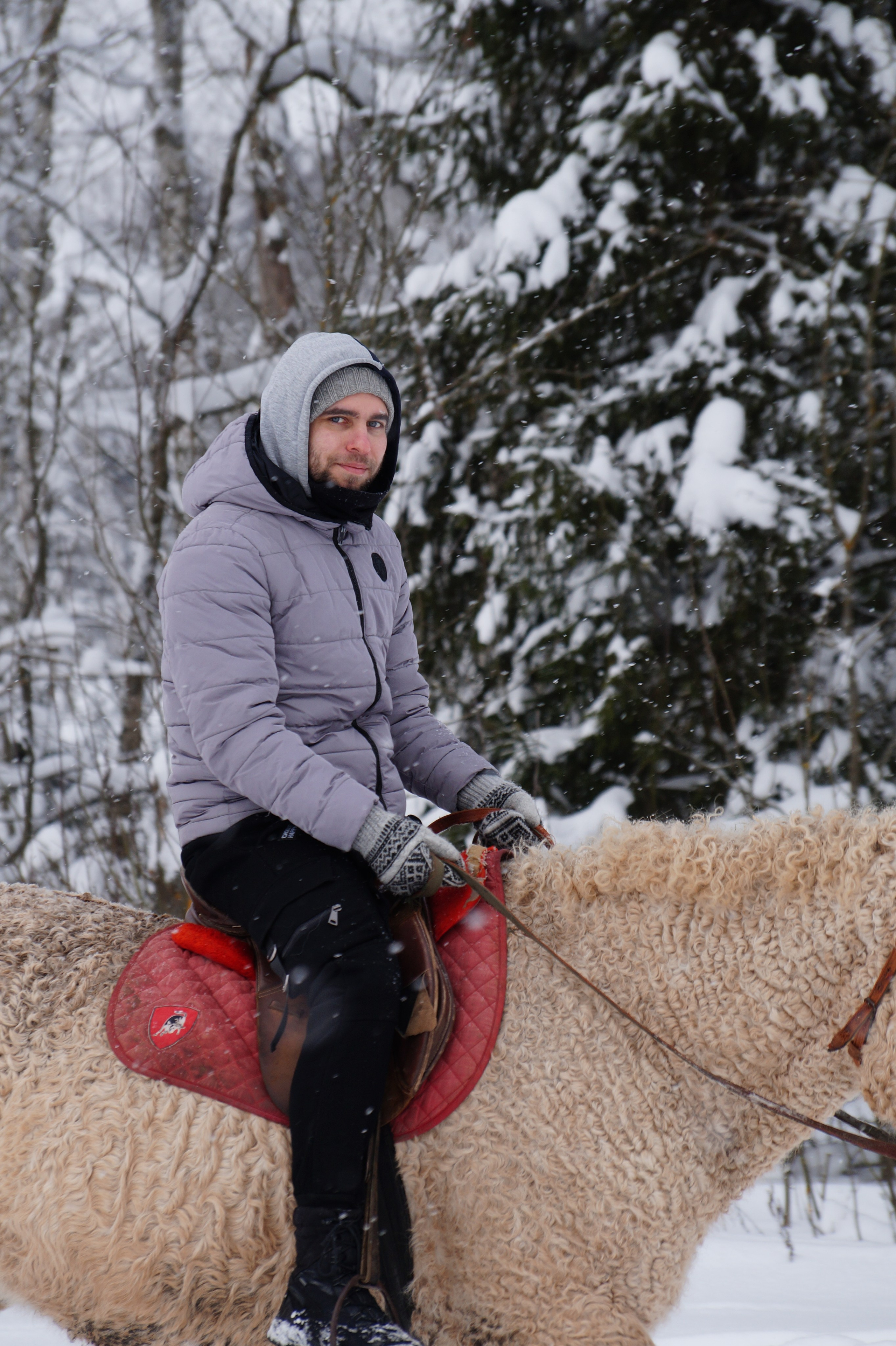 Лошадинг | 11.01.2026. Галерея Фантим
