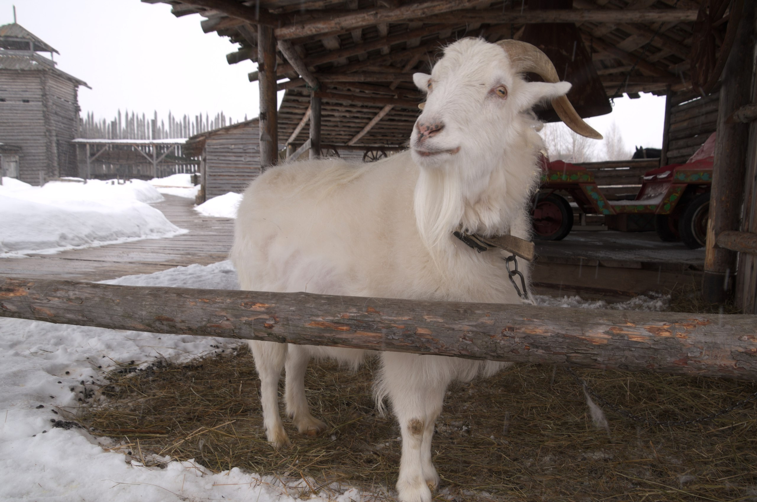Владимир+Суздаль | 18-19.02.2017. Галерея Фантим