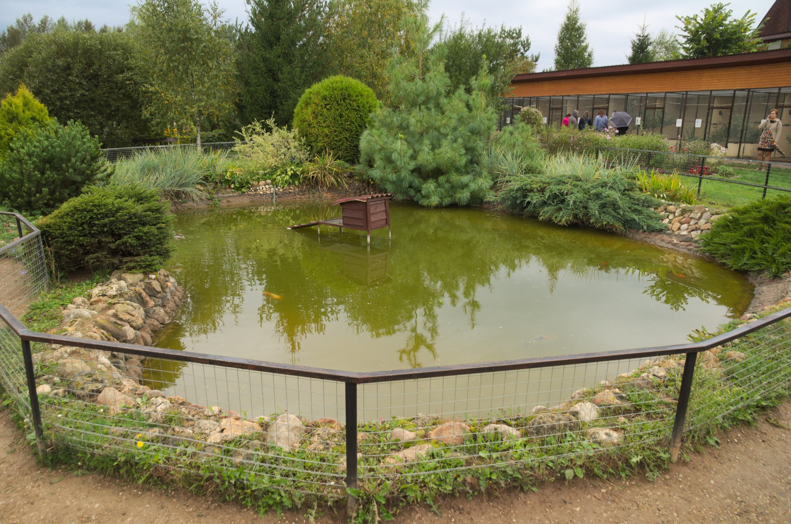 Боровск и парк птиц «Воробьи» | 17.09.2017. Галерея Фантим