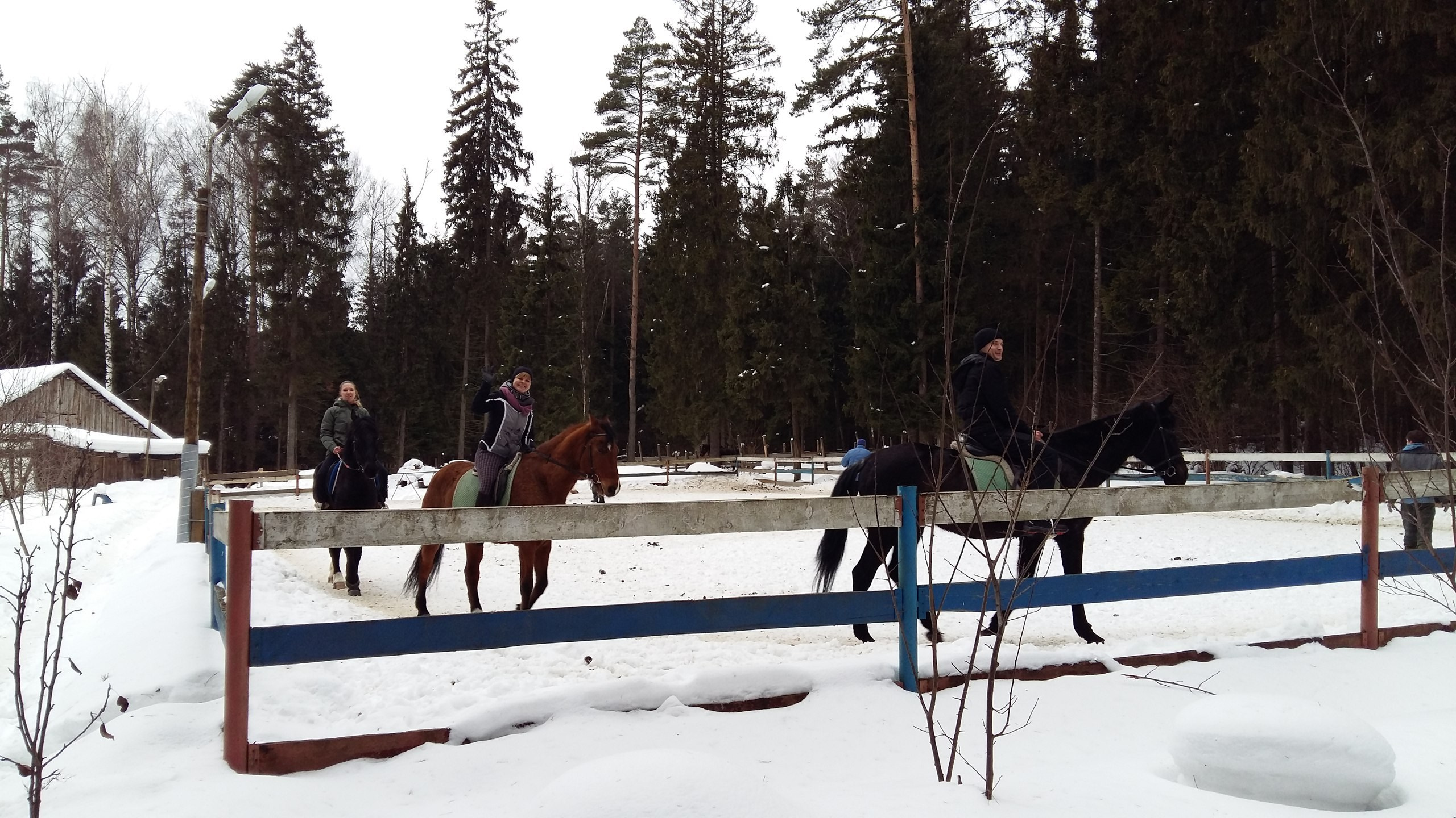Активные выходные |18-19.02.2017. Галерея Фантим