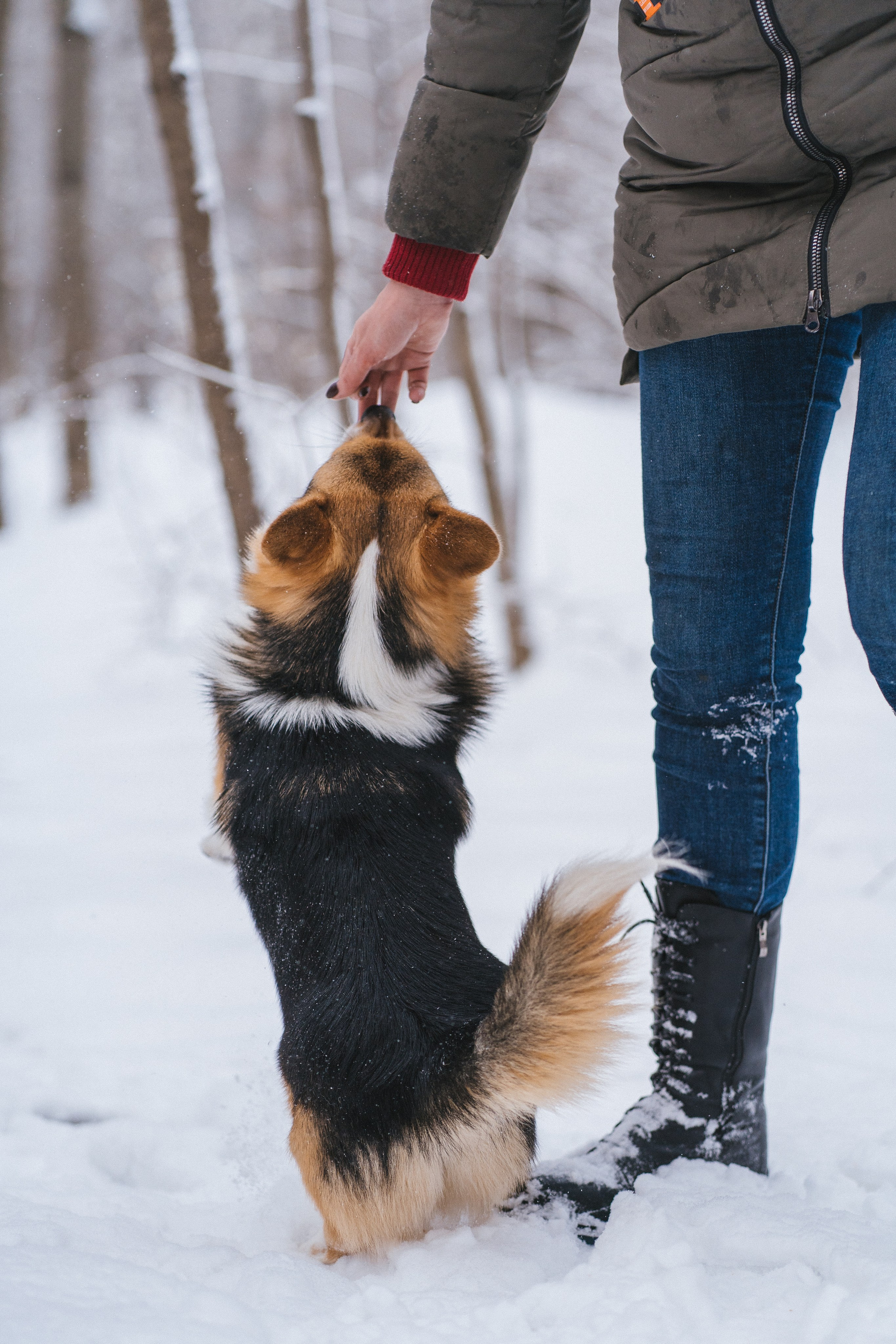Каспер и Полина. Свадебный фотограф в Москве Анна Полушина