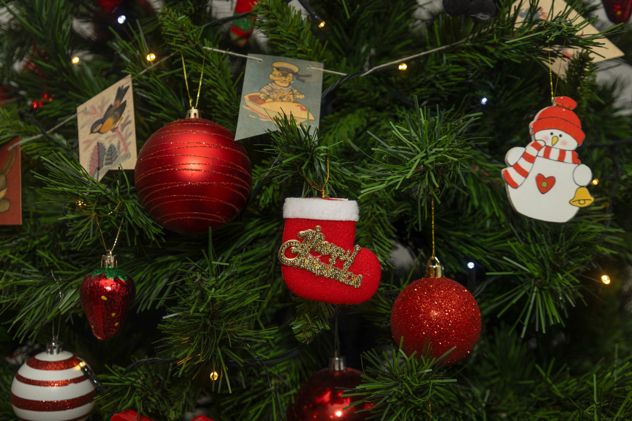 Отзывы. Семейный и свадебный фотограф в Москве и Домодедово Анна Авилочкина