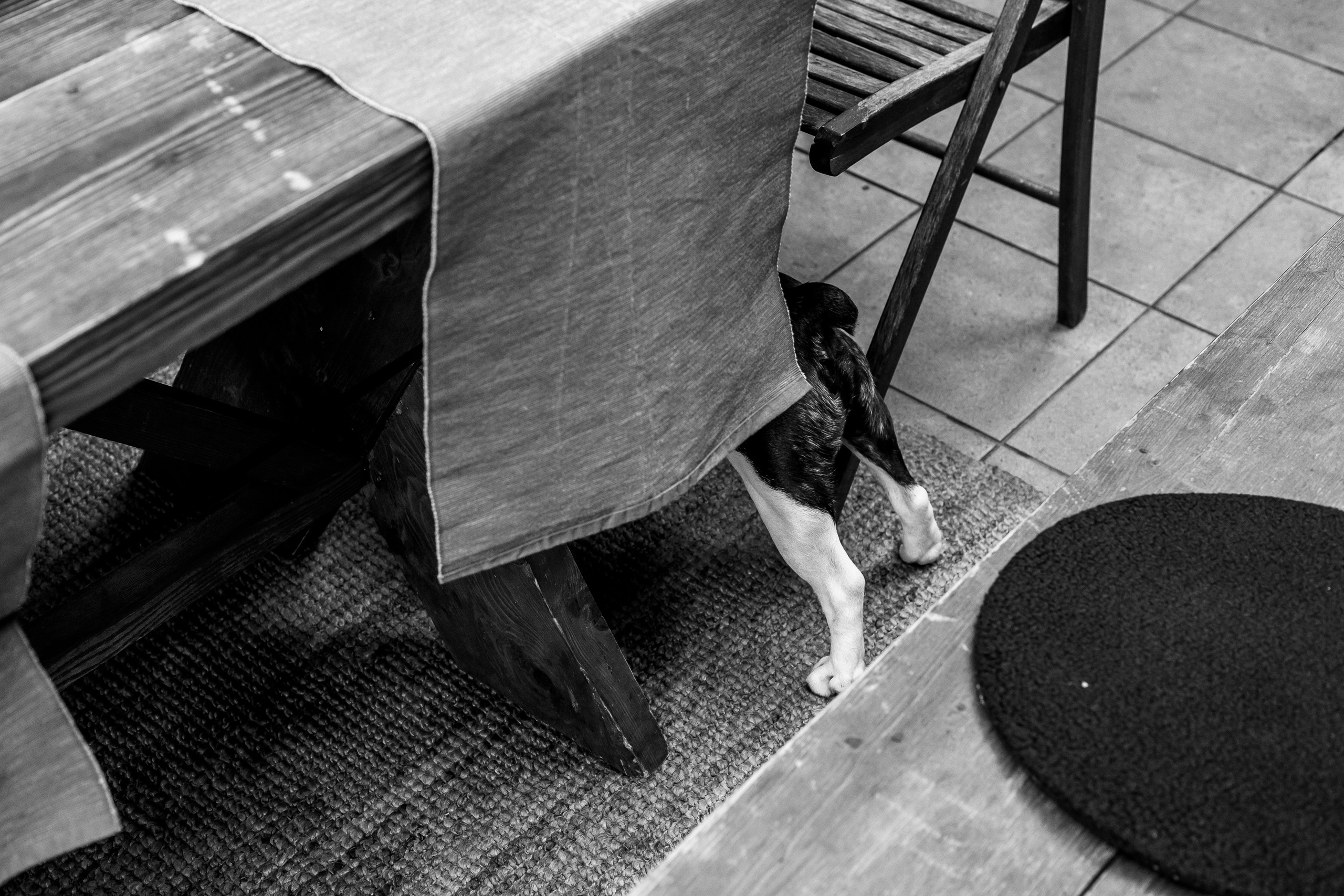 Репортаж. Свадебный фотограф в Москве Элина Ларченкова. Фото, которые цепляют