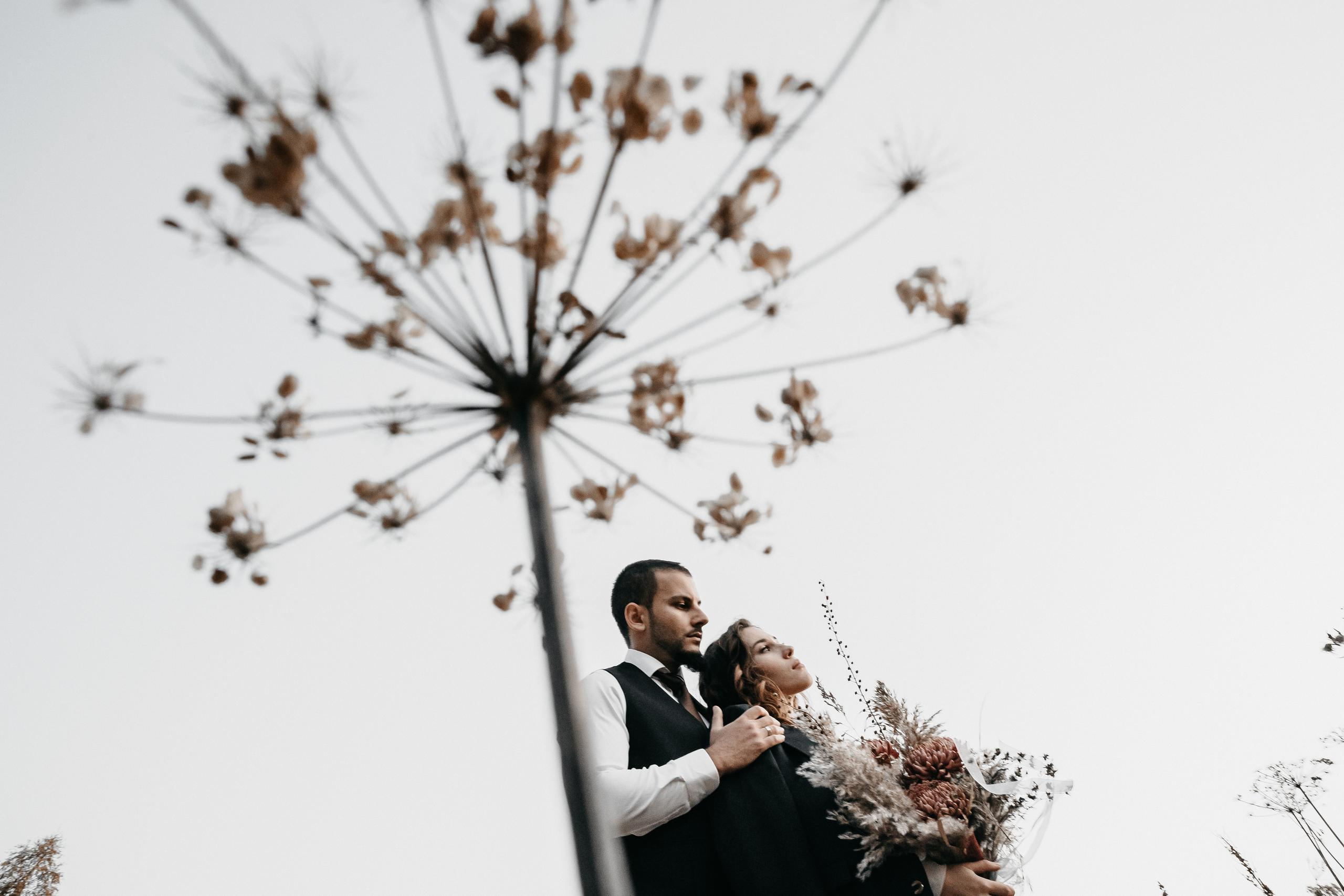 Дана и Александр. Свадебный и семейный фотограф Харольцева Наталья