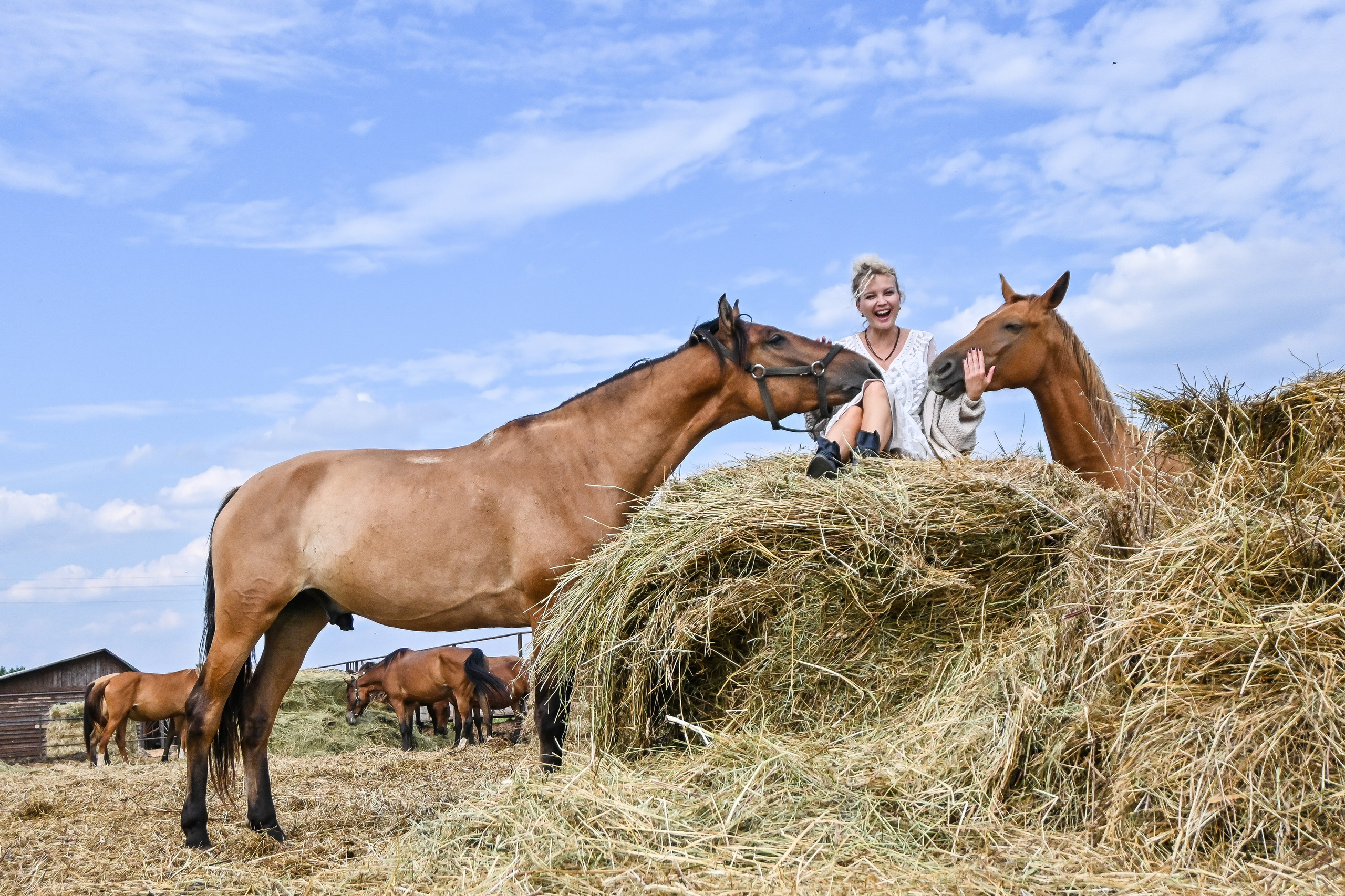 РАНЧО/ АВГУСТ. Фотограф для бизнесконтента, репортажей и семейного альбома в Москве