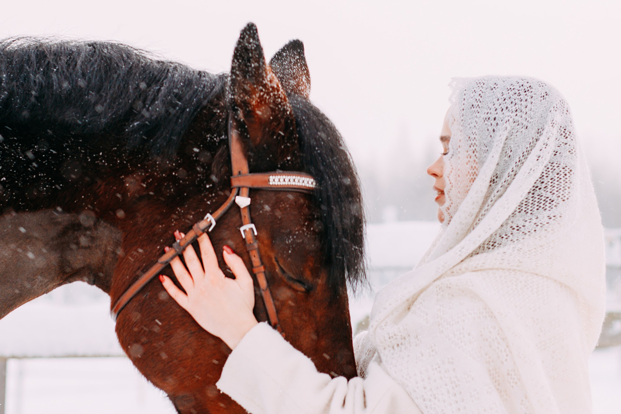 Зимняя фотосессия с лошадкой. Фотограф в Санкт-Петербурге Alina Film