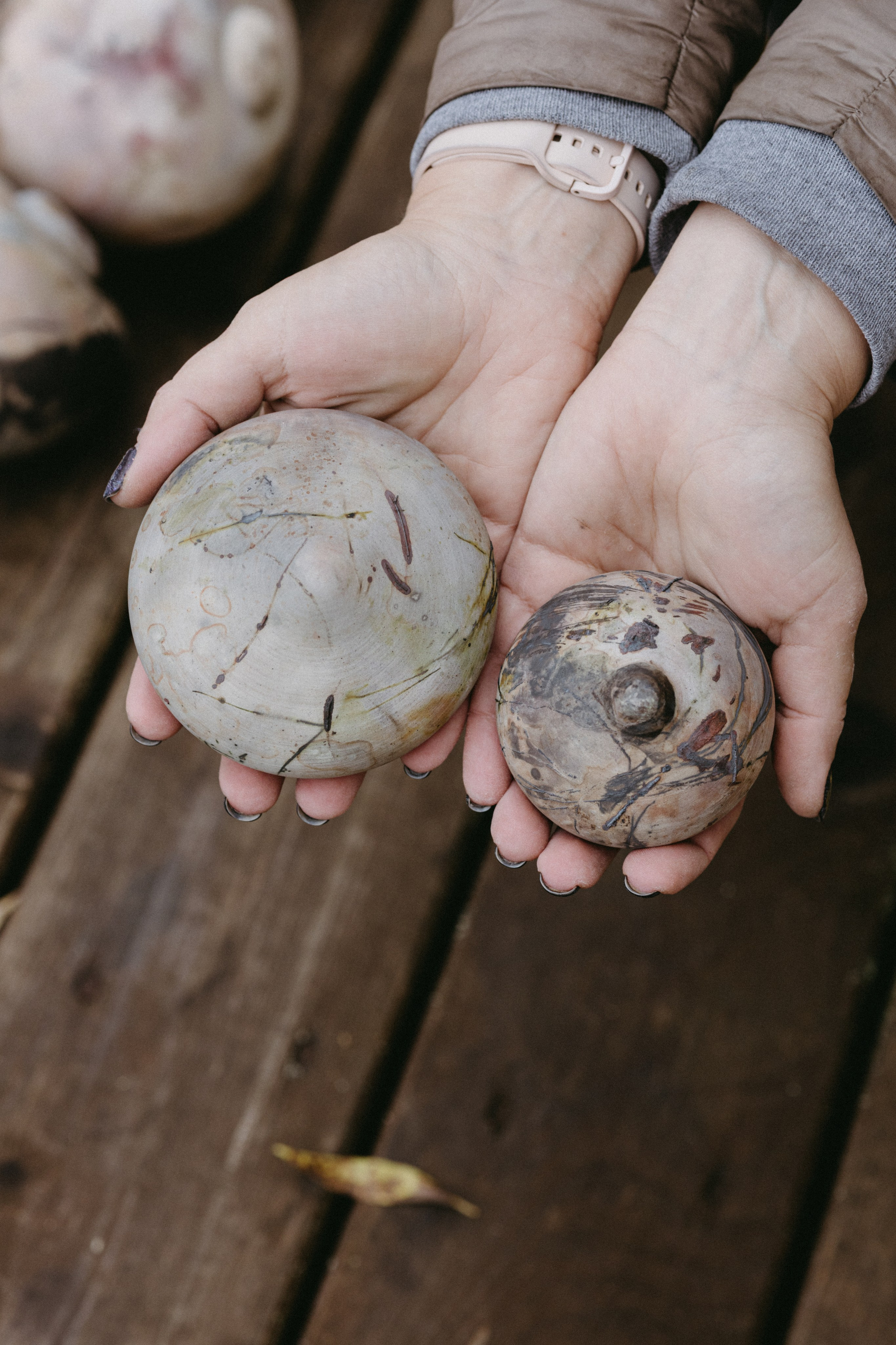 Новые земли. Про любовь