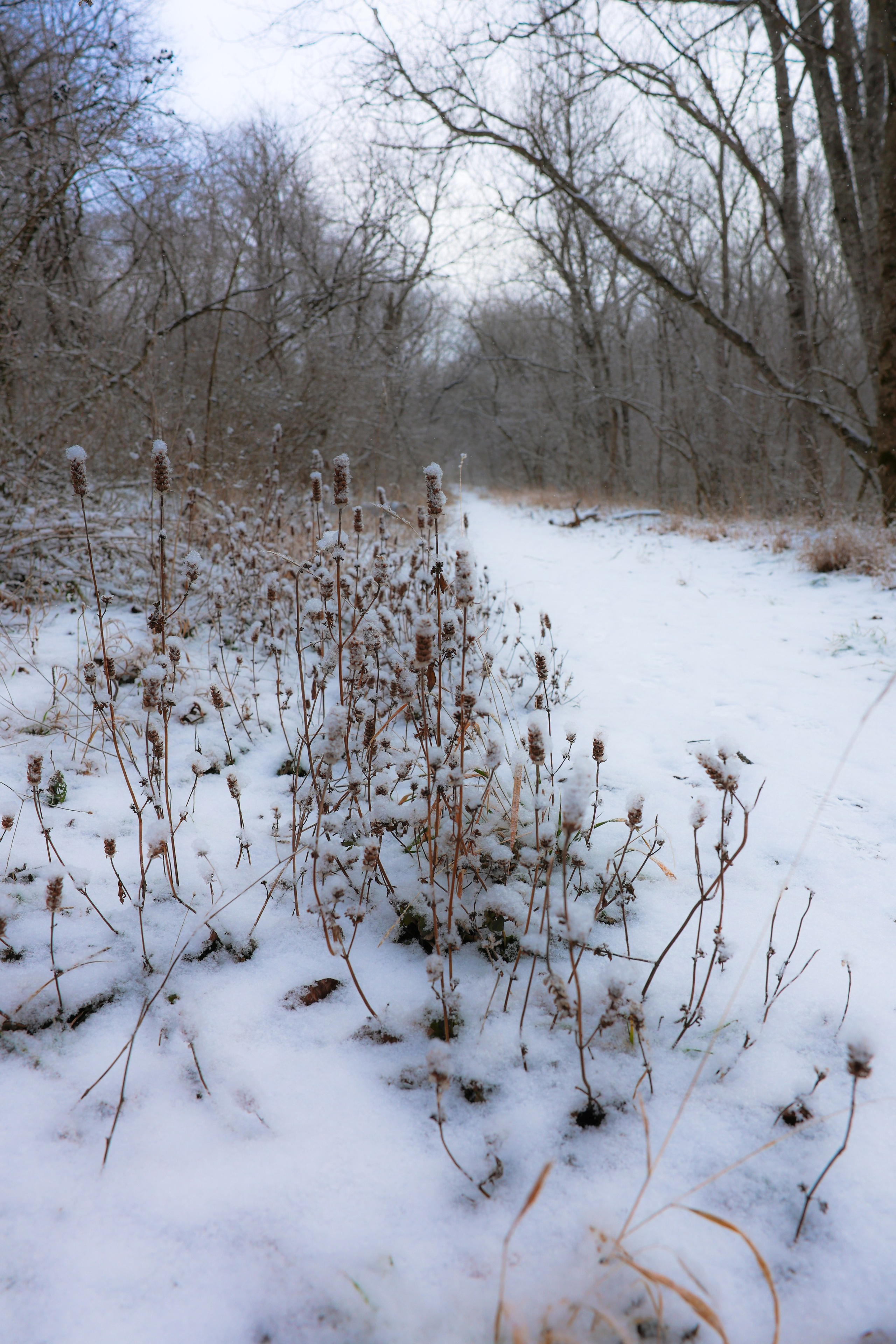 Фотограф Мария Алексеева. Мария Алексеева. Фотограф в Москве