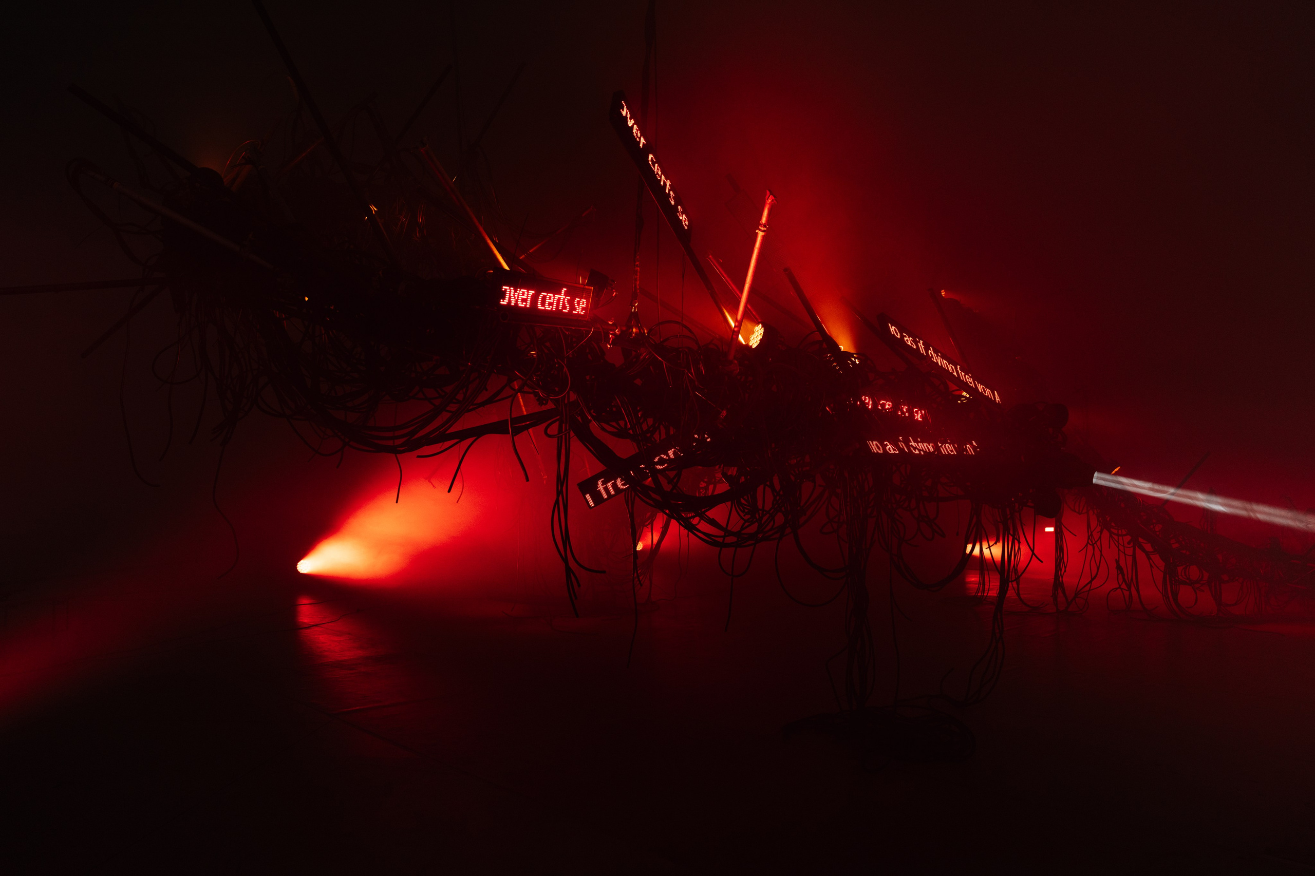 PANTERRA, CHRONOMORPH 001. @tomrus: Рустам Шагиморданов — фотограф