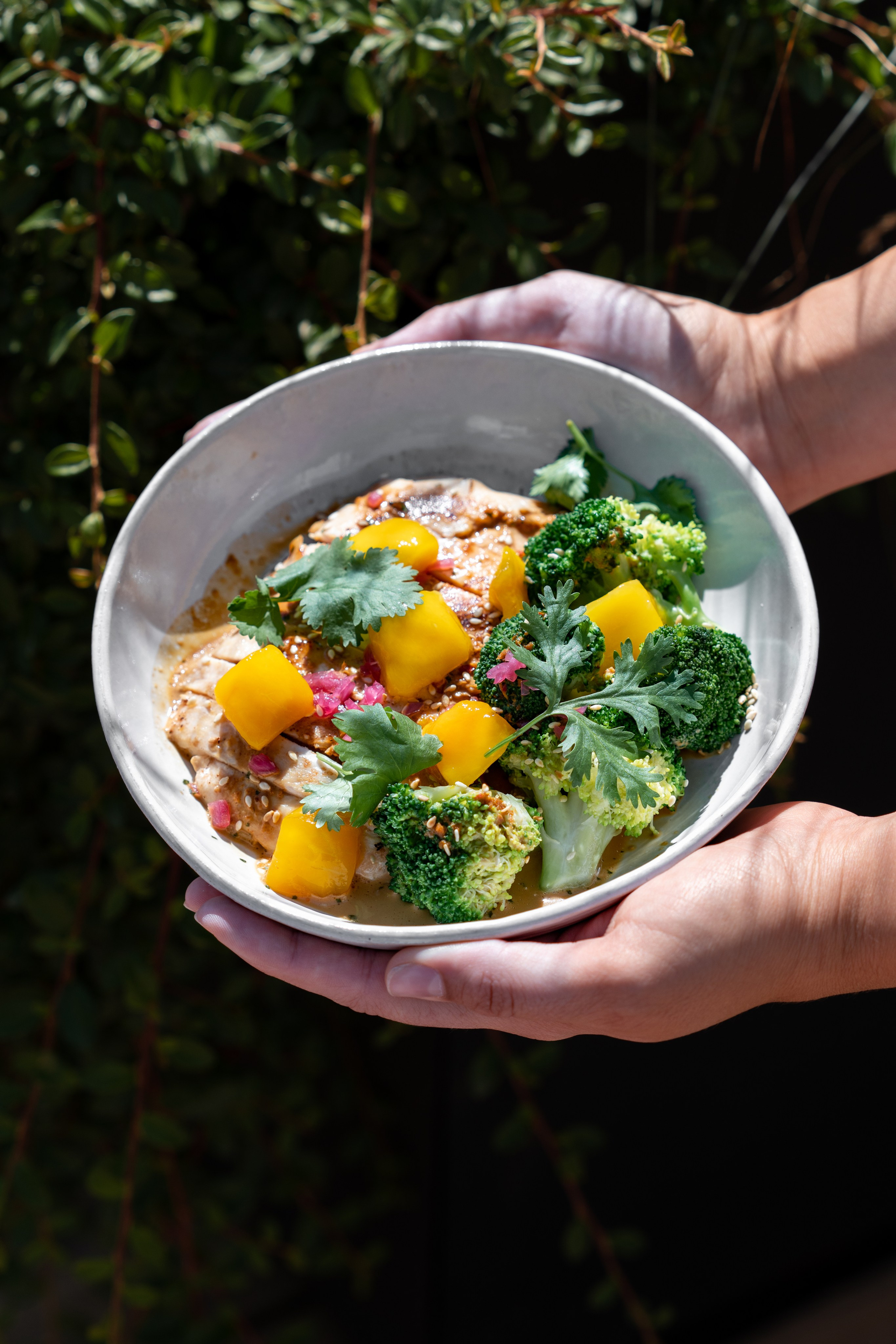 Предметная фотография блюд и напитков. Репортажный фотограф в Красной Поляне и Сочи Павлюченко Екатерина