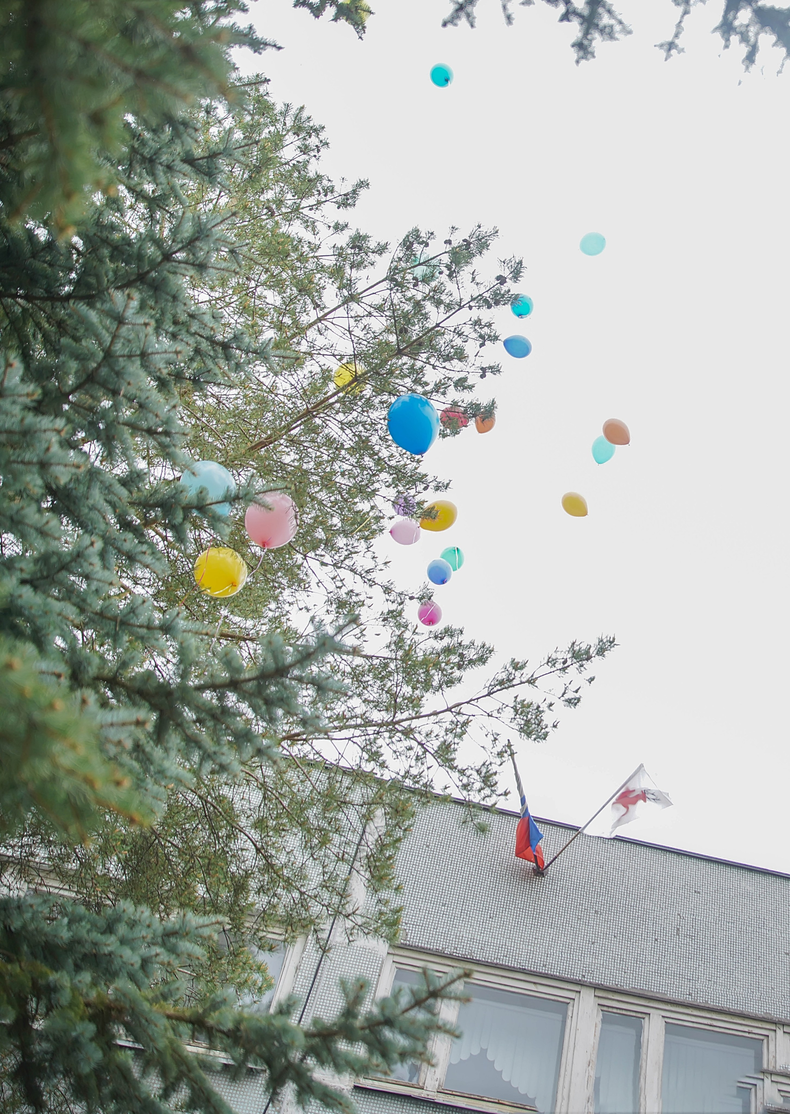 Выпускной ДС 456. Семейный и детский фотограф в Нижнем Новгороде