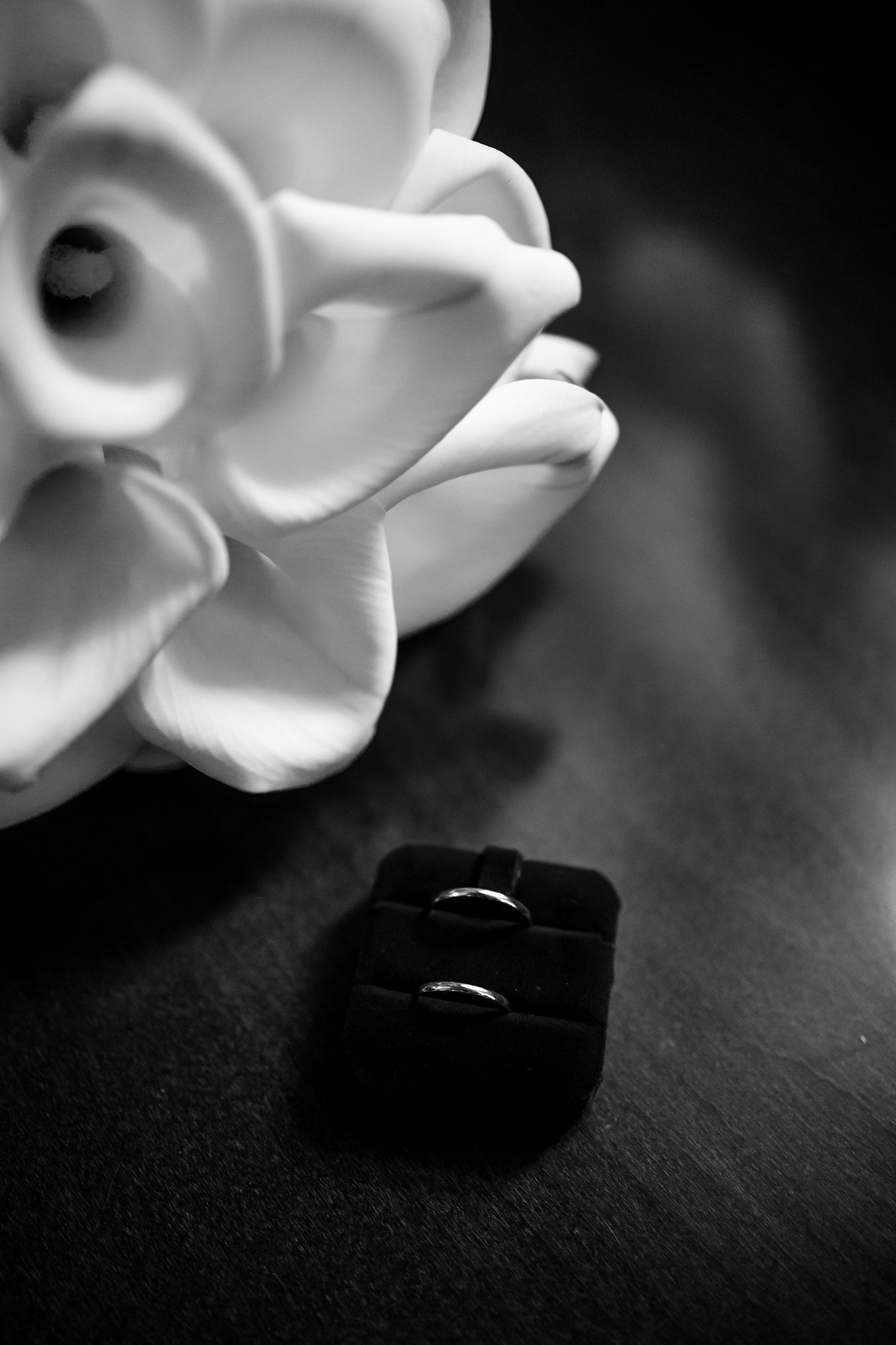 E&D. Фотограф в Санкт-Петербурге Ольга Кулеш