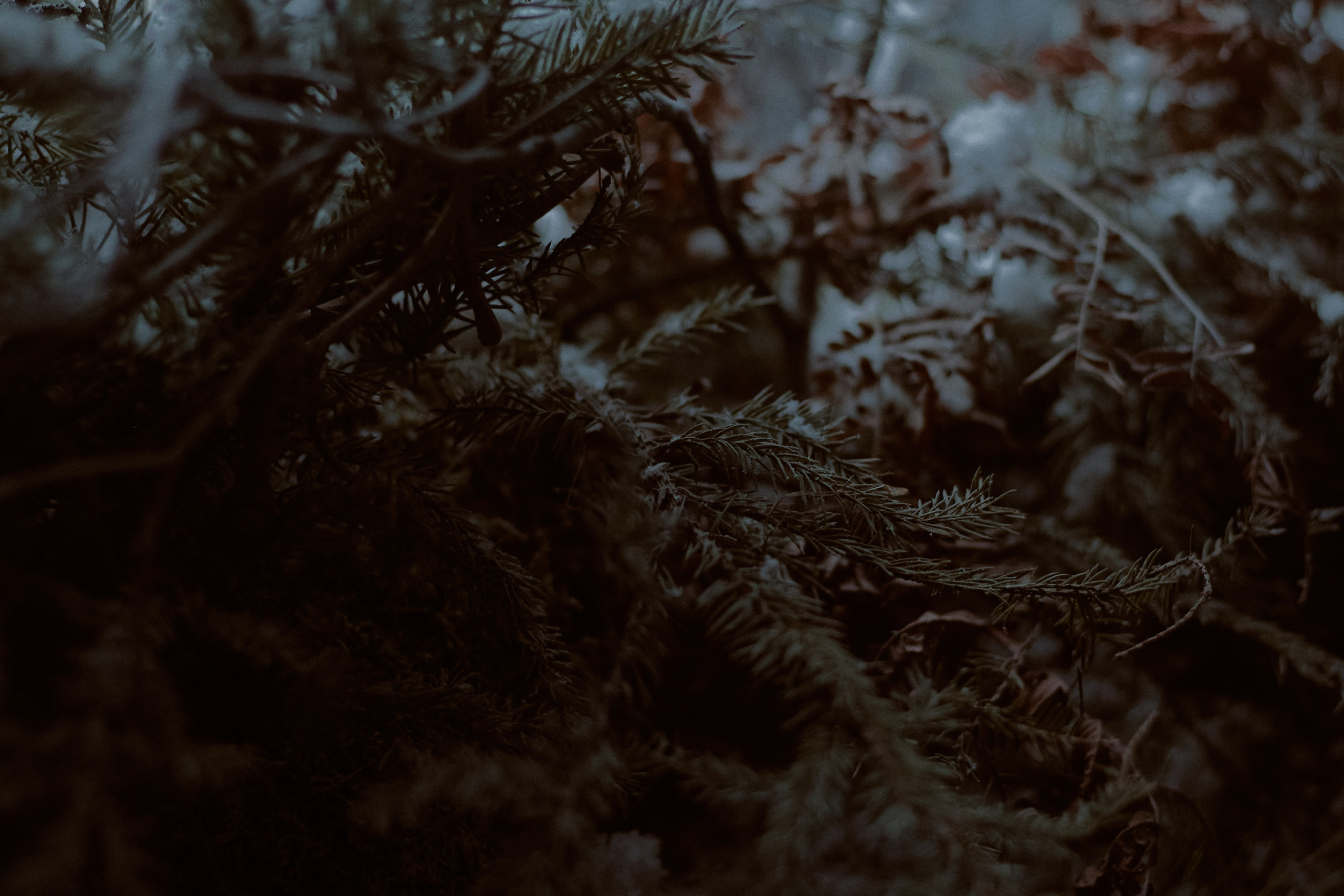 Тень. Фотограф лавстори Москва/МО Приятелева Ангелина