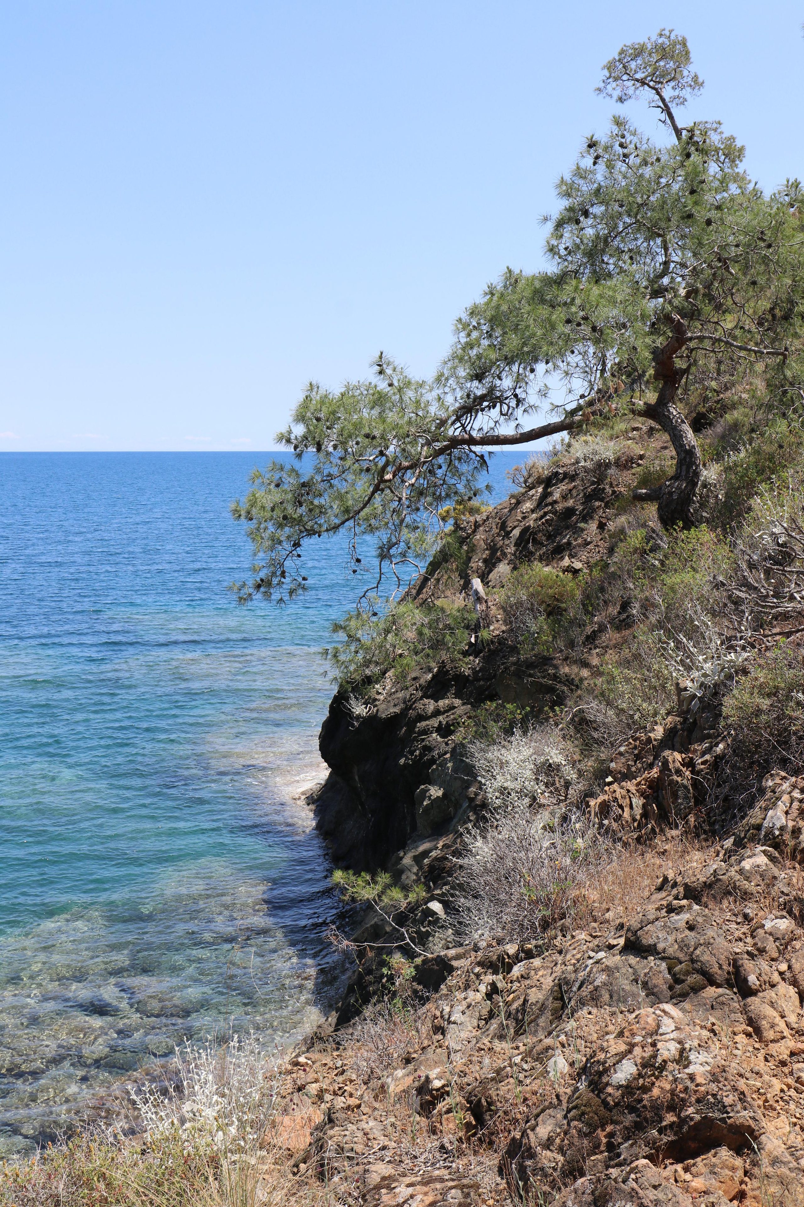 Турция. Чиралы. Май 2022 года. Путешественник-фотограф из Санкт-Петербурга Татьяна Свистулина