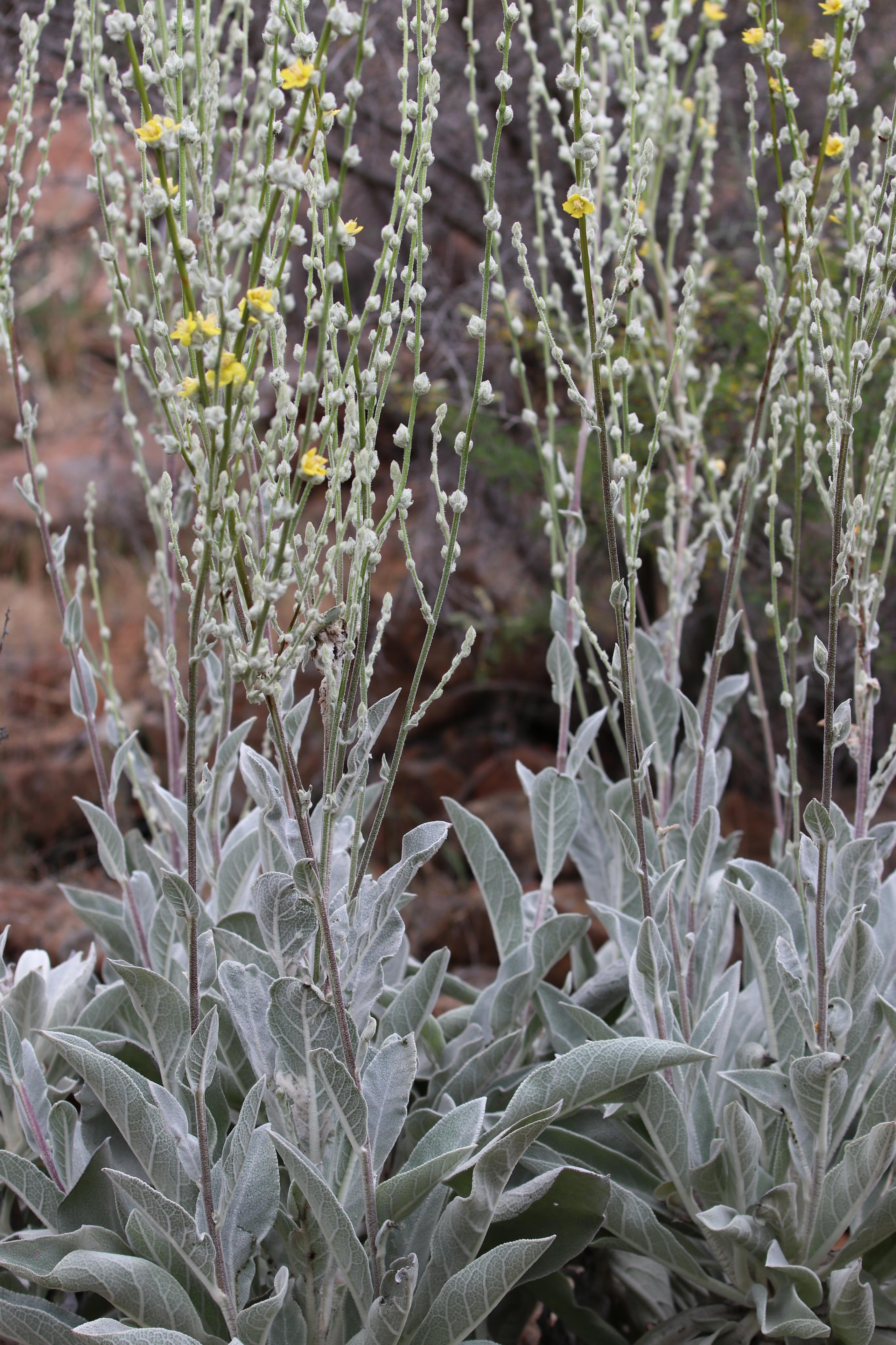 Турция. Чиралы. Май 2022 года. Путешественник-фотограф из Санкт-Петербурга Татьяна Свистулина
