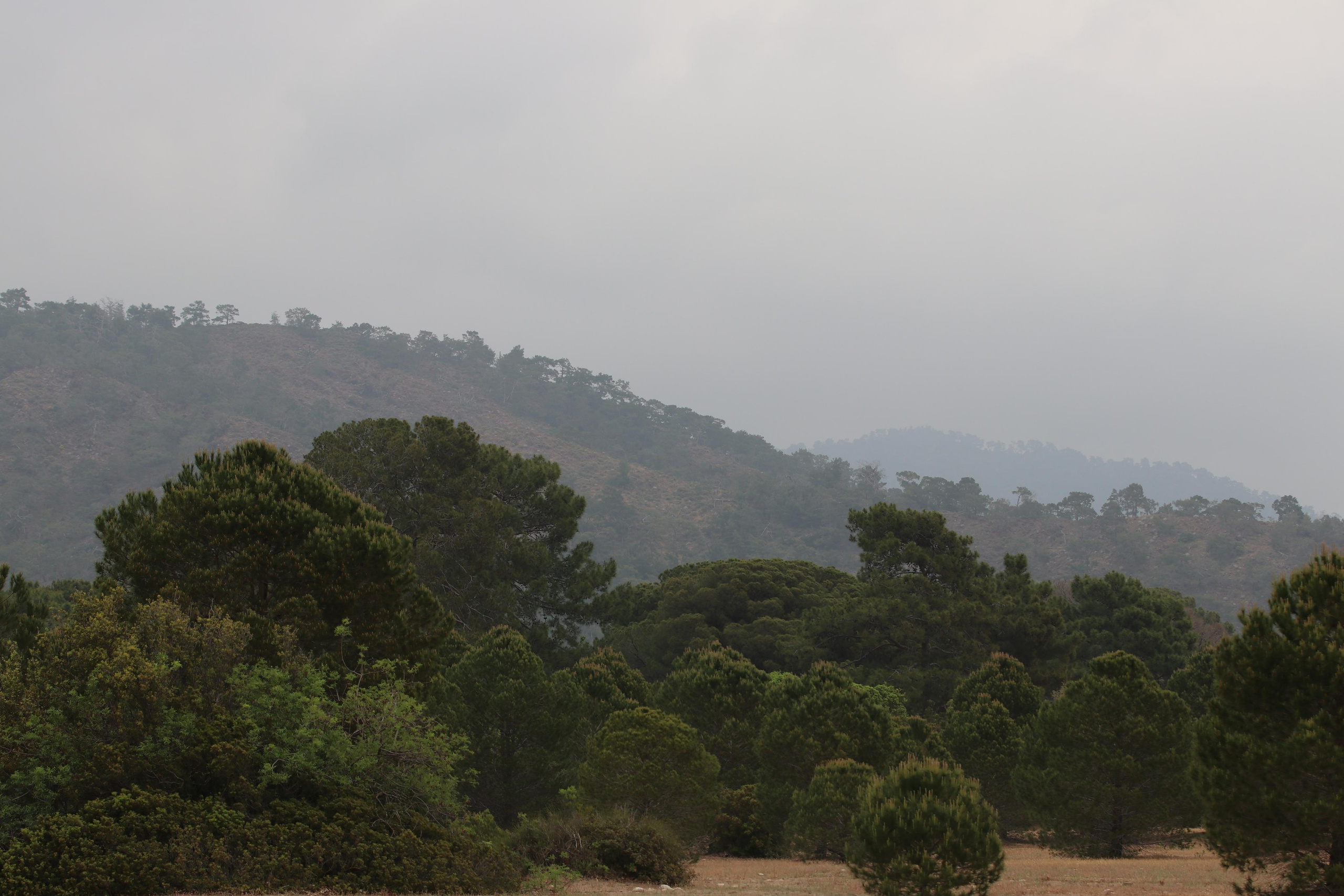 Турция. Чиралы. Май 2022 года. Путешественник-фотограф из Санкт-Петербурга Татьяна Свистулина
