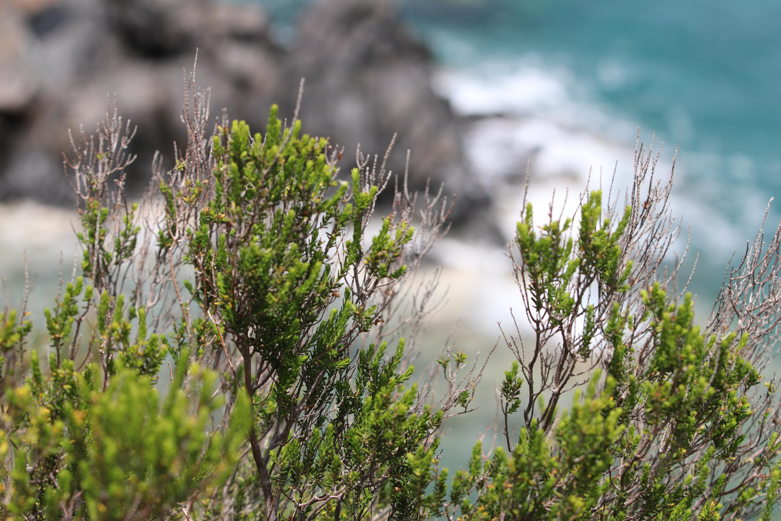 Турция. Чиралы. Май 2022 года. Путешественник-фотограф из Санкт-Петербурга Татьяна Свистулина