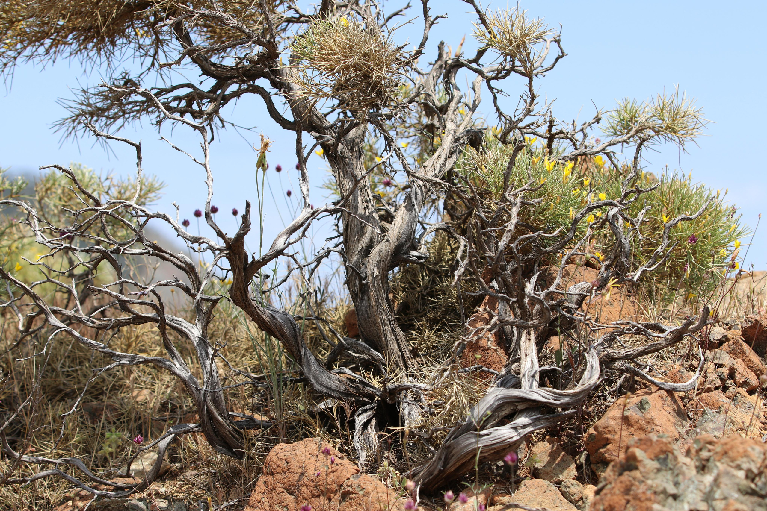 Турция. Чиралы. Май 2022 года. Путешественник-фотограф из Санкт-Петербурга Татьяна Свистулина