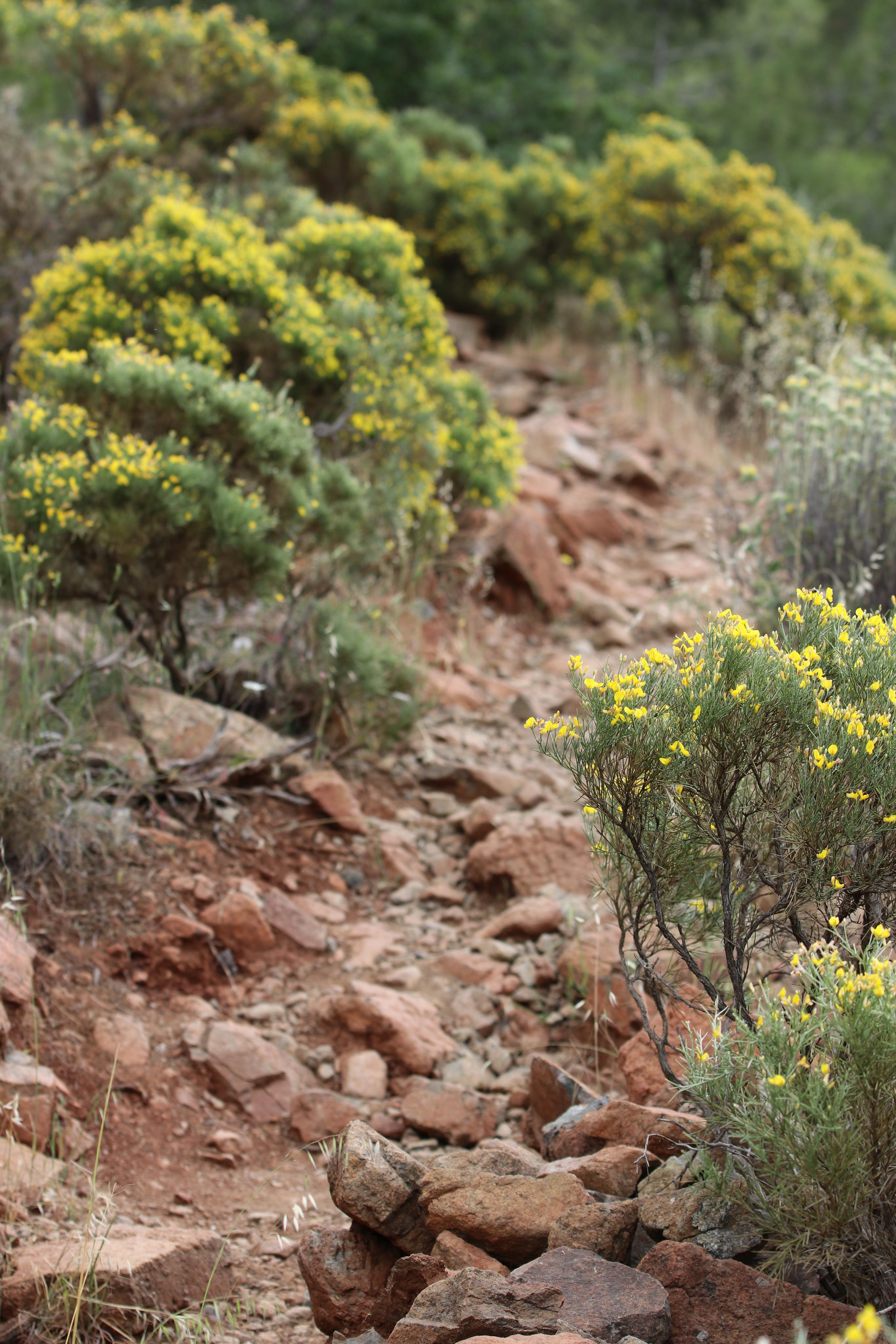 Турция. Чиралы. Май 2022 года. Путешественник-фотограф из Санкт-Петербурга Татьяна Свистулина