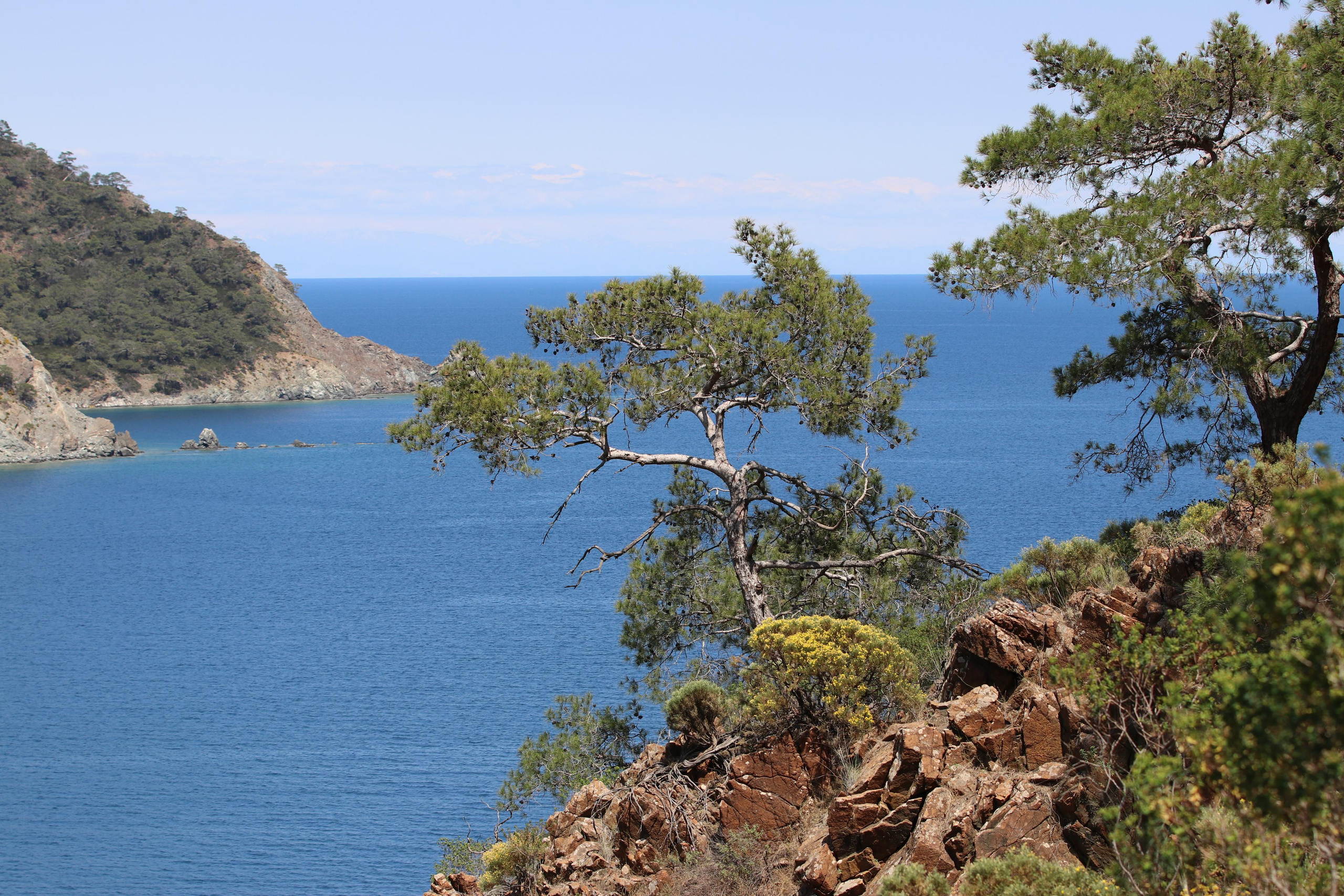 Турция. Чиралы. Май 2022 года. Путешественник-фотограф из Санкт-Петербурга Татьяна Свистулина
