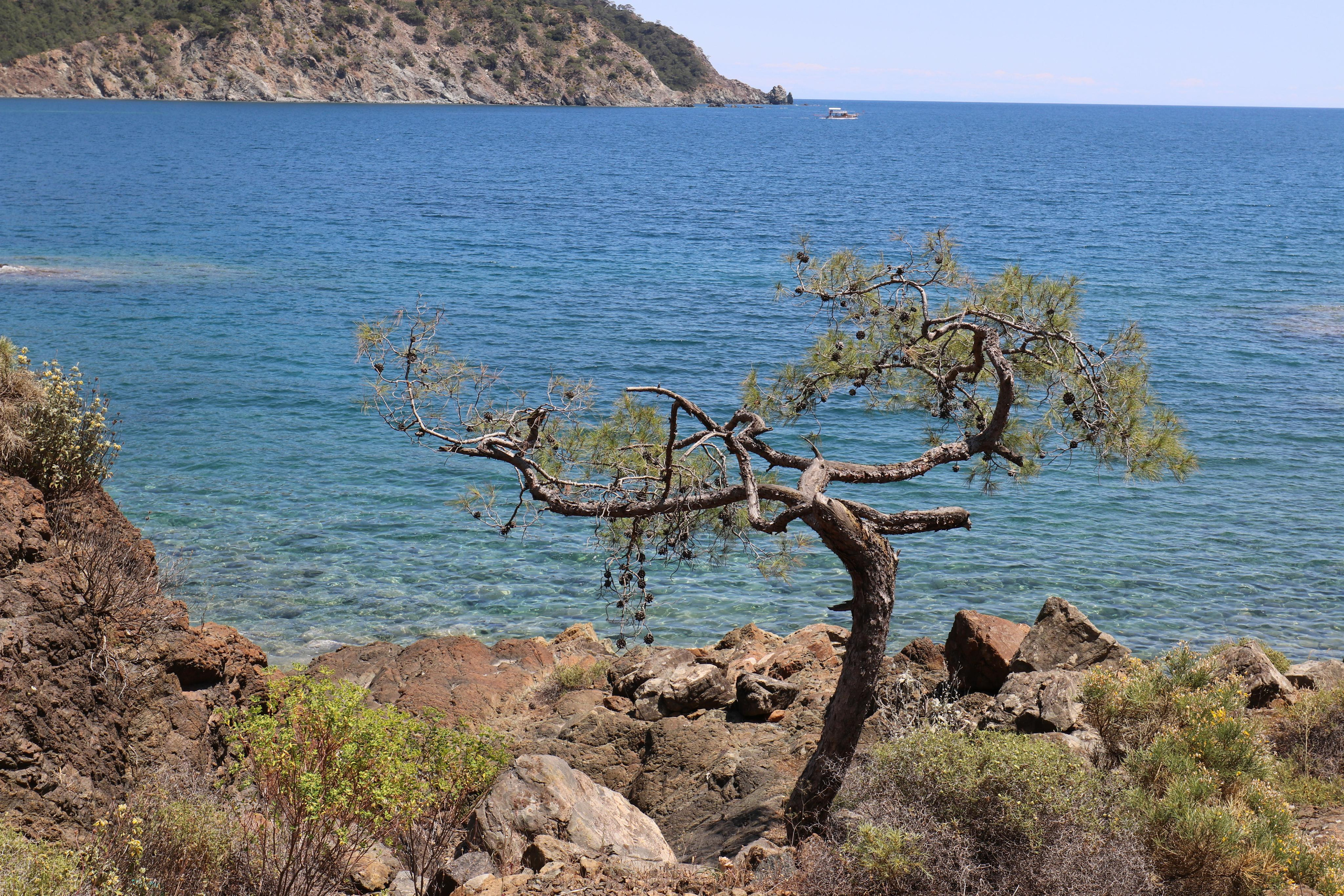 Турция. Чиралы. Май 2022 года. Путешественник-фотограф из Санкт-Петербурга Татьяна Свистулина
