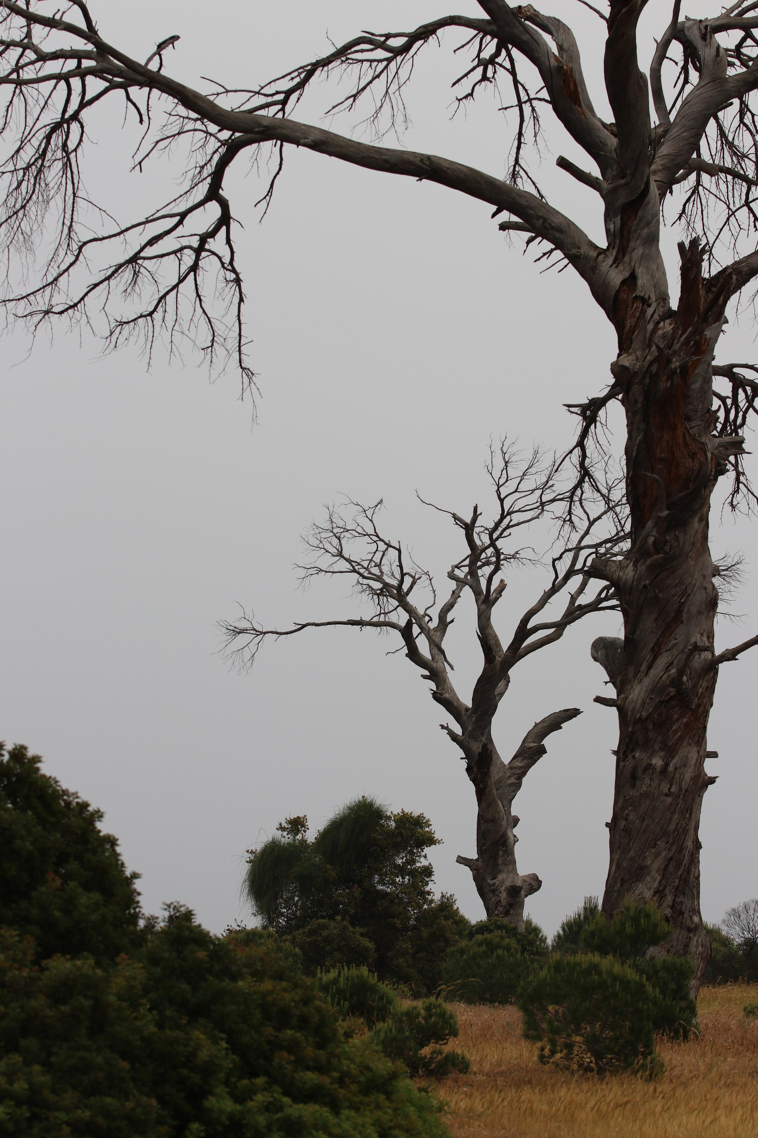 Турция. Чиралы. Май 2022 года. Путешественник-фотограф из Санкт-Петербурга Татьяна Свистулина