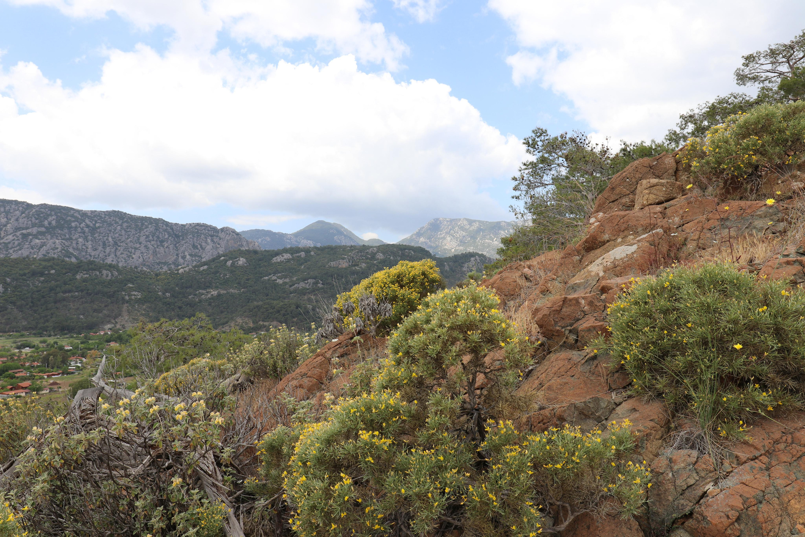 Турция. Чиралы. Май 2022 года. Путешественник-фотограф из Санкт-Петербурга Татьяна Свистулина