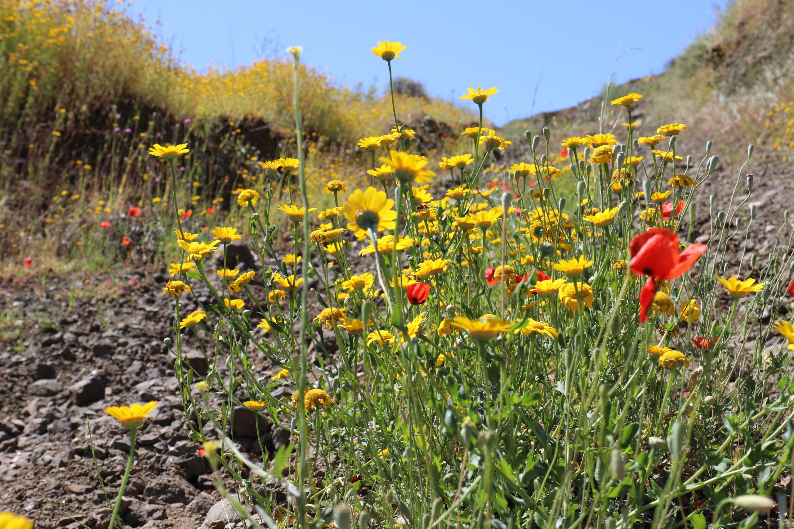 Турция. Чиралы. Май 2022 года. Путешественник-фотограф из Санкт-Петербурга Татьяна Свистулина