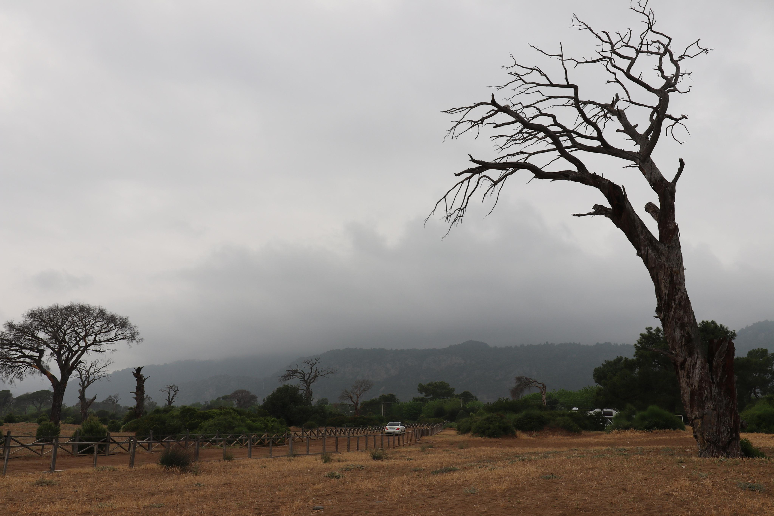 Турция. Чиралы. Май 2022 года. Путешественник-фотограф из Санкт-Петербурга Татьяна Свистулина