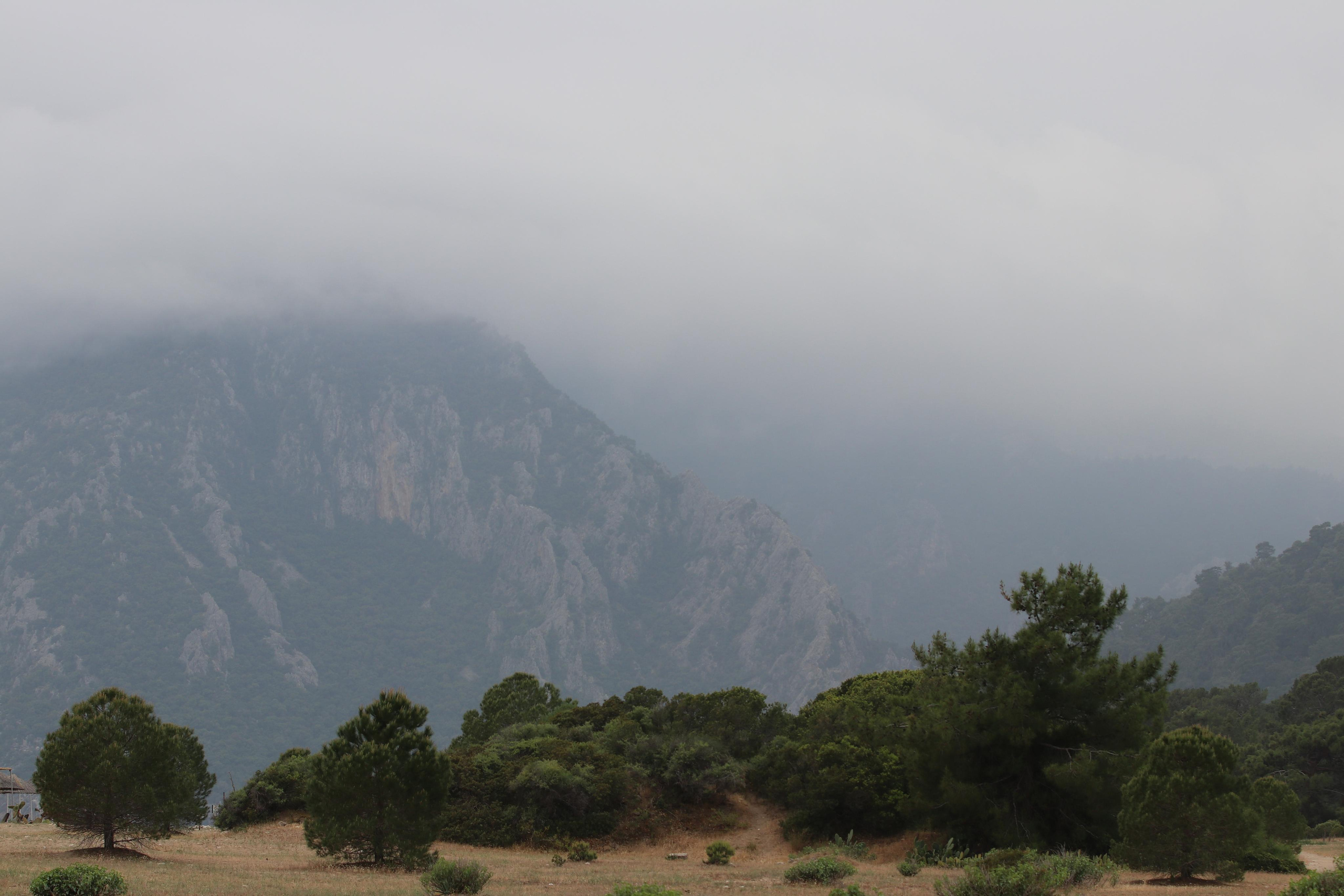 Турция. Чиралы. Май 2022 года. Путешественник-фотограф из Санкт-Петербурга Татьяна Свистулина