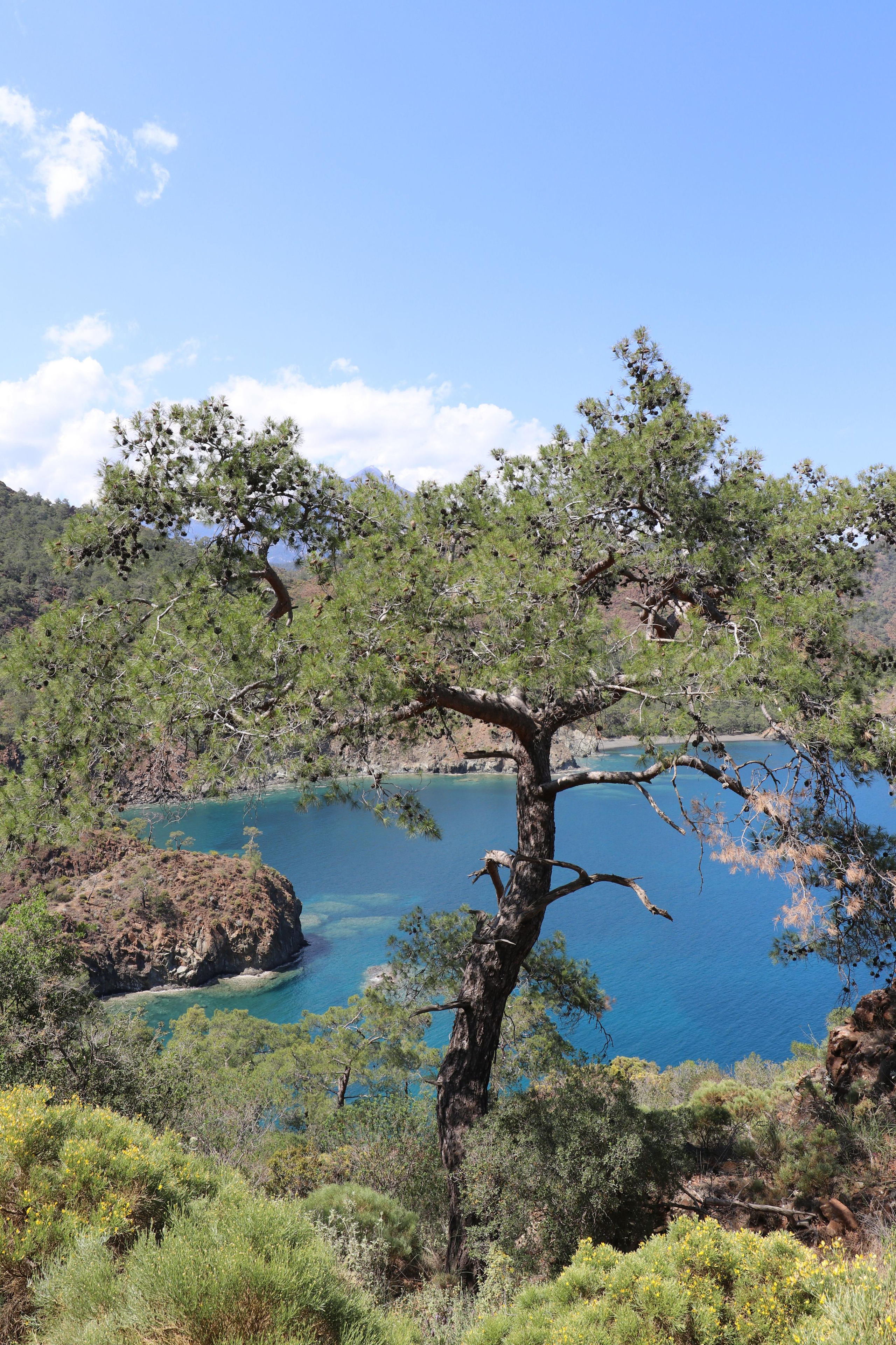 Турция. Чиралы. Май 2022 года. Путешественник-фотограф из Санкт-Петербурга Татьяна Свистулина