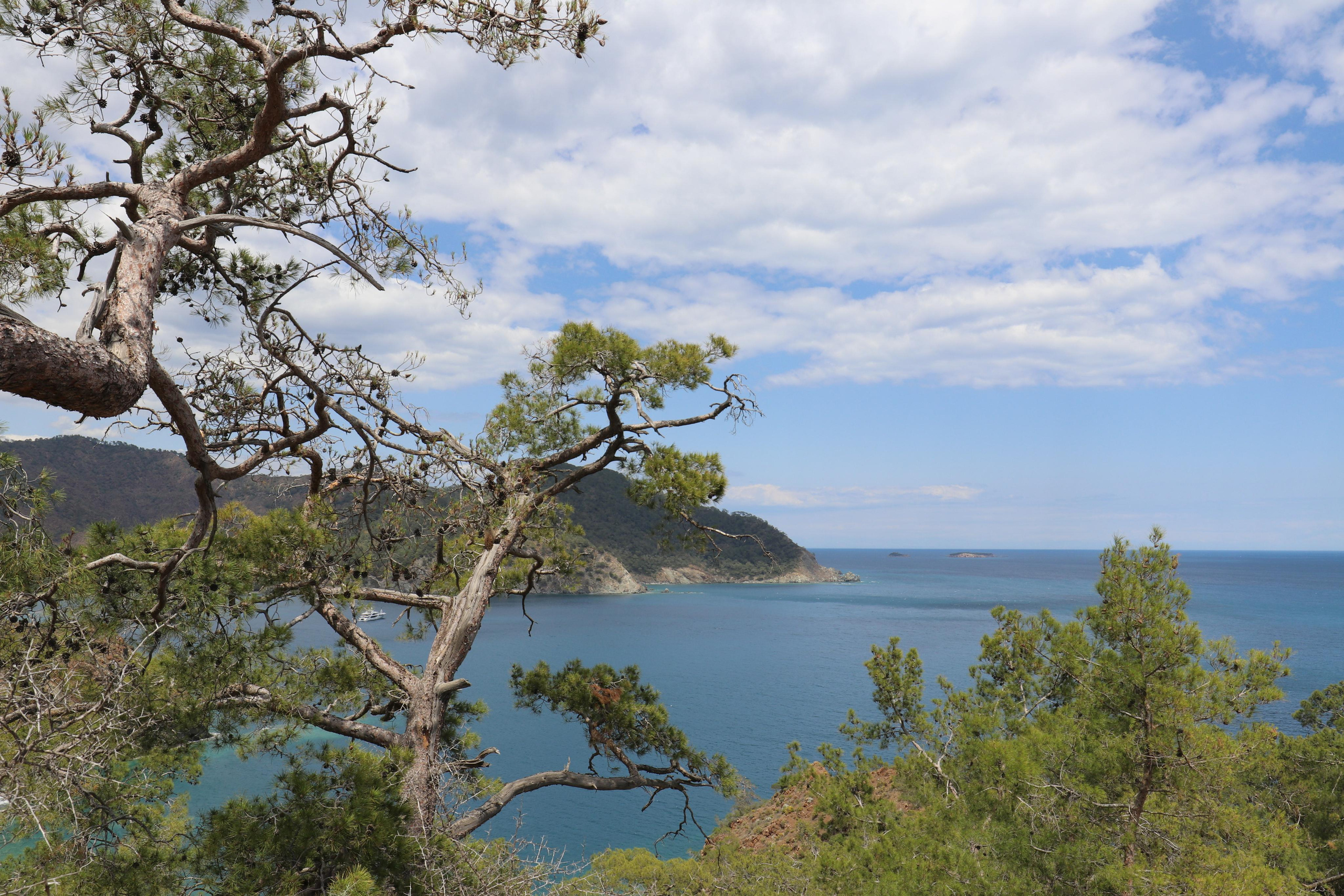 Турция. Чиралы. Май 2022 года. Путешественник-фотограф из Санкт-Петербурга Татьяна Свистулина