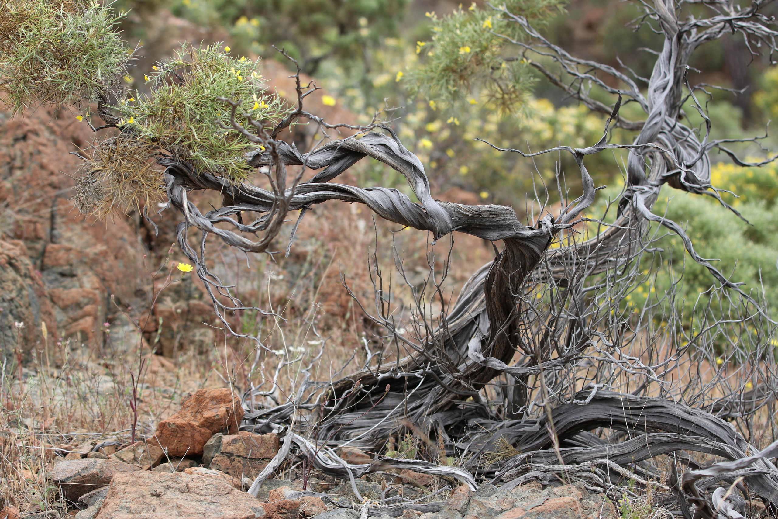 Турция. Чиралы. Май 2022 года. Путешественник-фотограф из Санкт-Петербурга Татьяна Свистулина