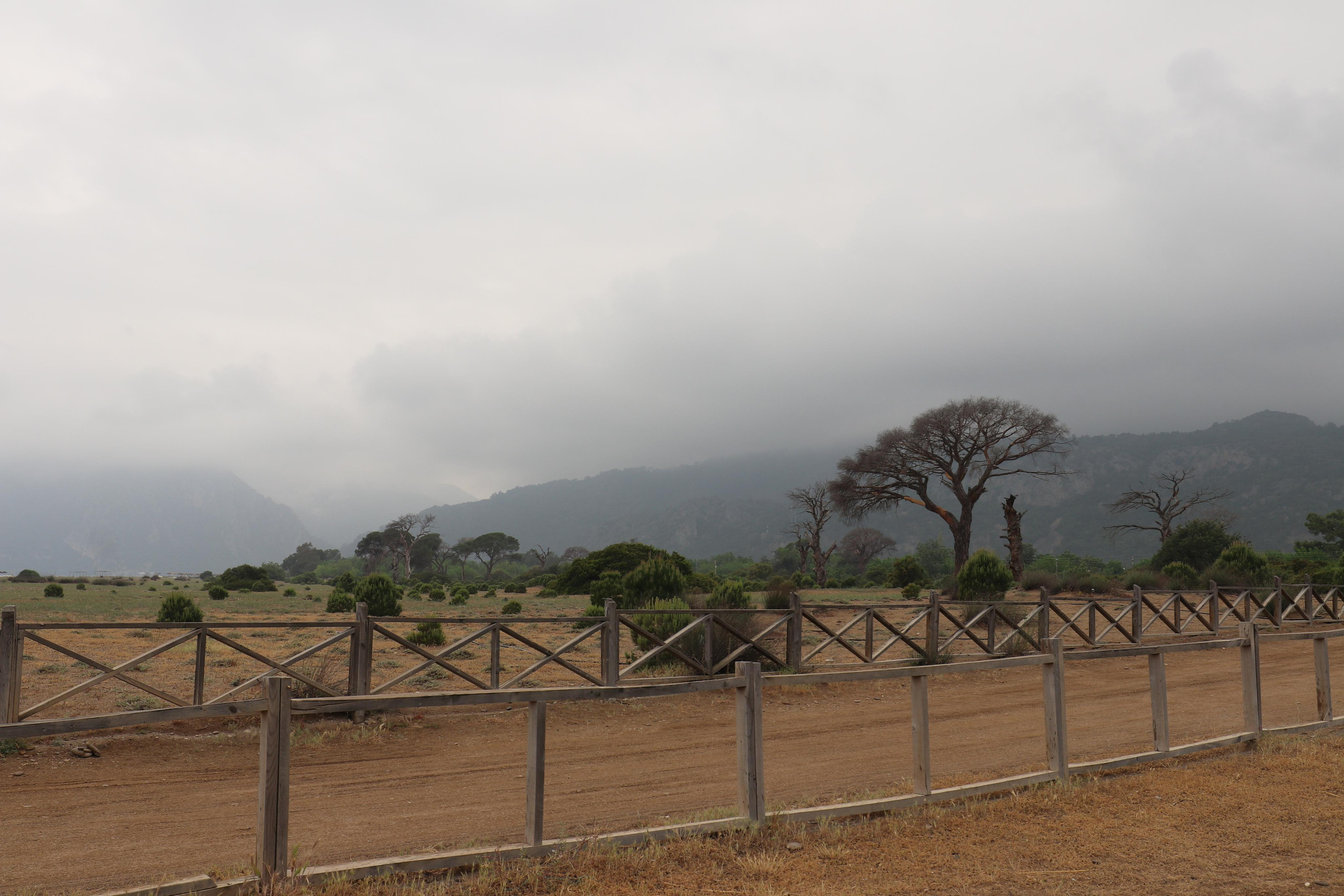 Турция. Чиралы. Май 2022 года. Путешественник-фотограф из Санкт-Петербурга Татьяна Свистулина