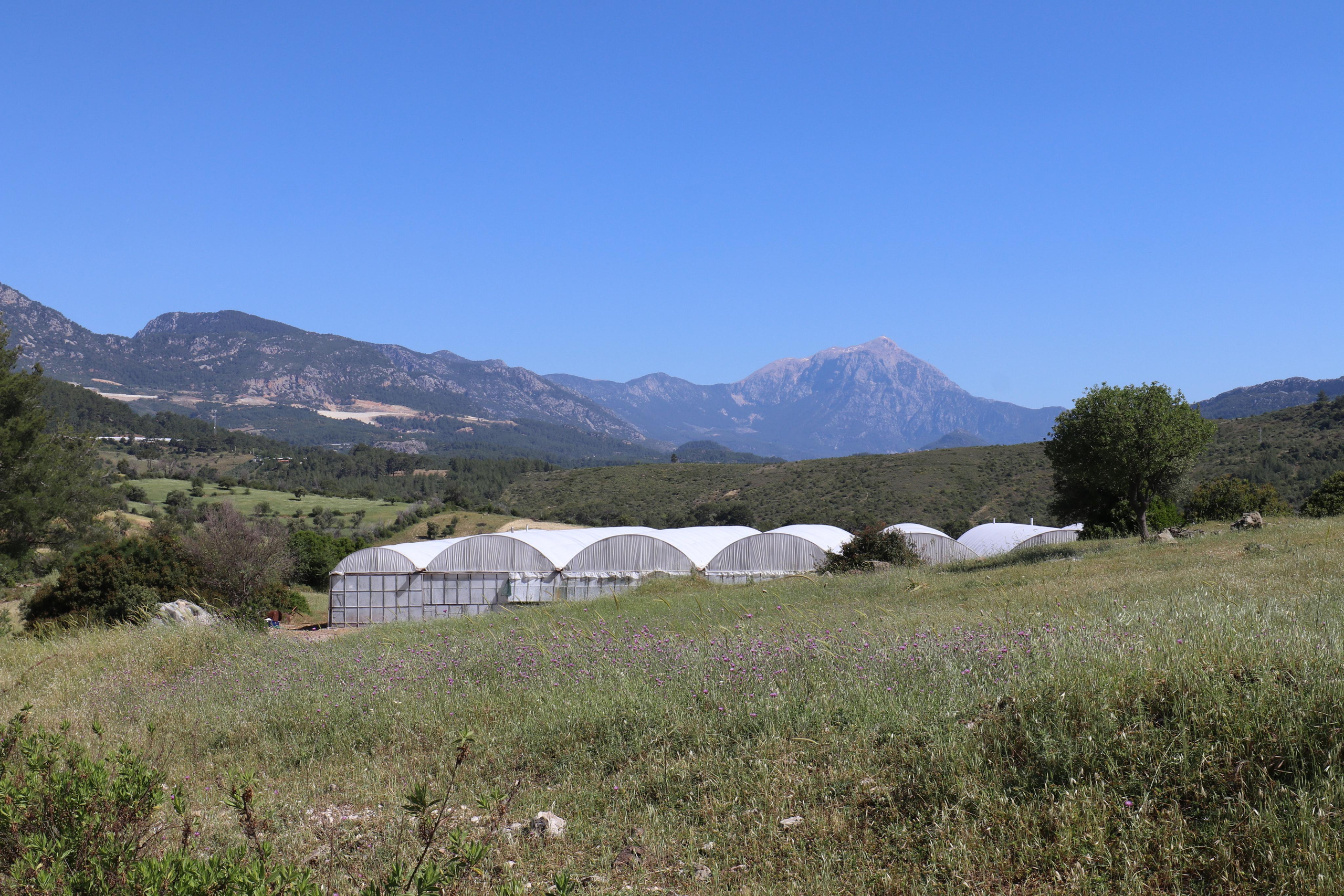 Турция. Чиралы. Май 2022 года. Путешественник-фотограф из Санкт-Петербурга Татьяна Свистулина