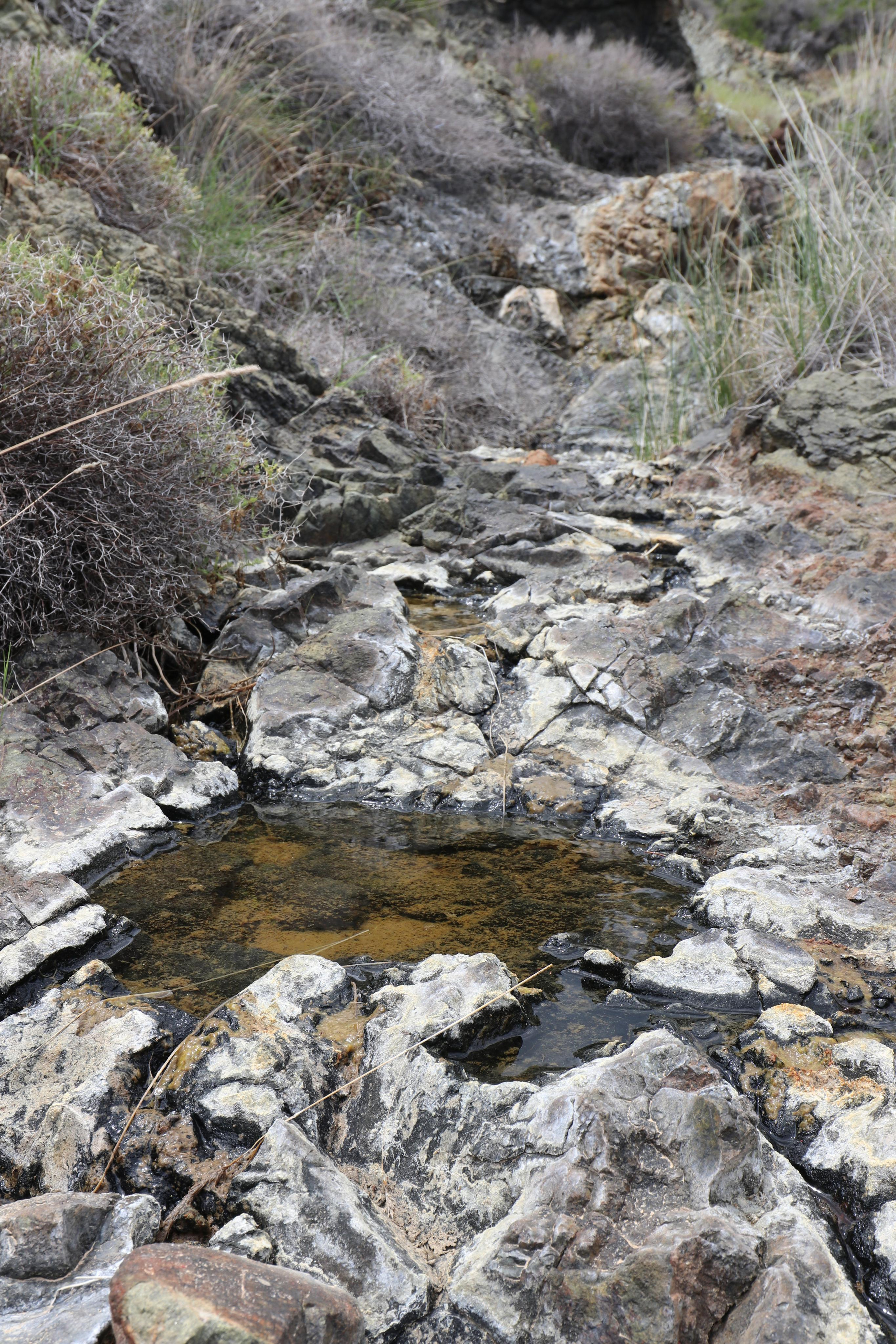 Турция. Чиралы. Май 2022 года. Путешественник-фотограф из Санкт-Петербурга Татьяна Свистулина