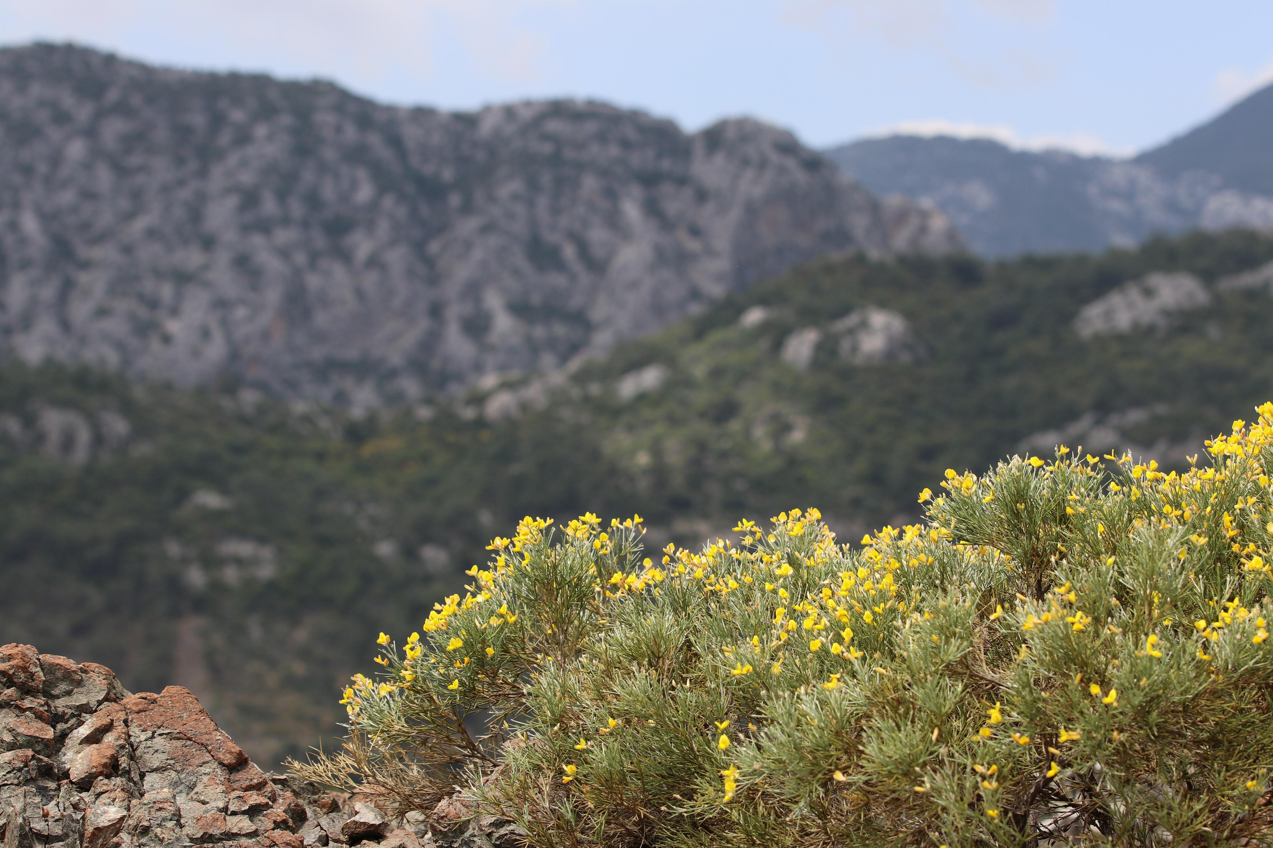 Турция. Чиралы. Май 2022 года. Путешественник-фотограф из Санкт-Петербурга Татьяна Свистулина