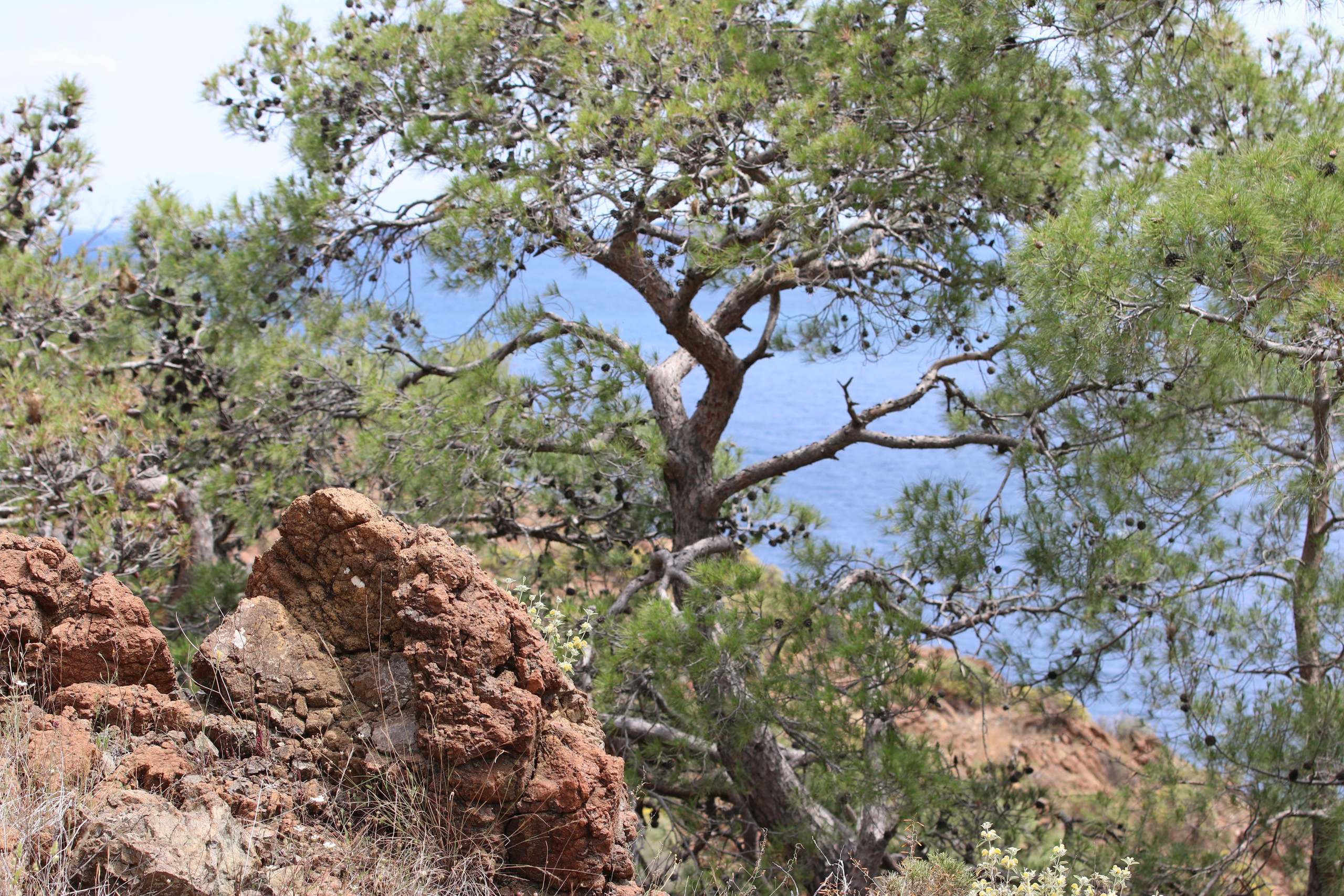 Турция. Чиралы. Май 2022 года. Путешественник-фотограф из Санкт-Петербурга Татьяна Свистулина