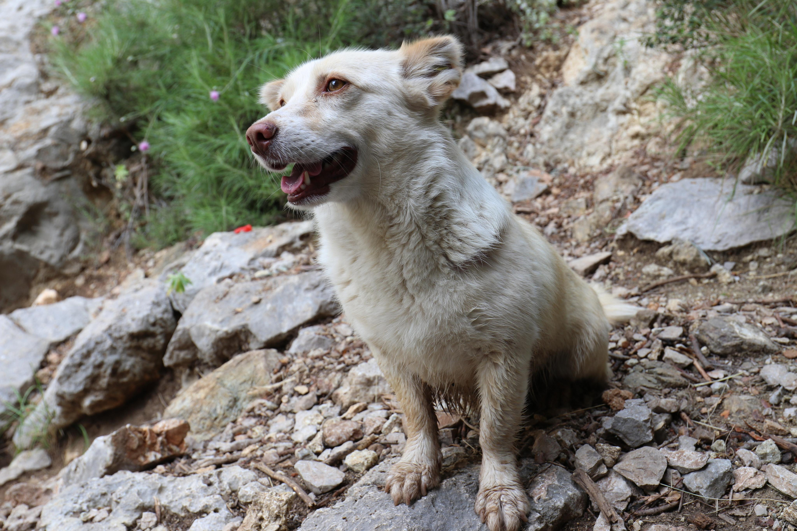Турция. Чиралы. Май 2022 года. Путешественник-фотограф из Санкт-Петербурга Татьяна Свистулина