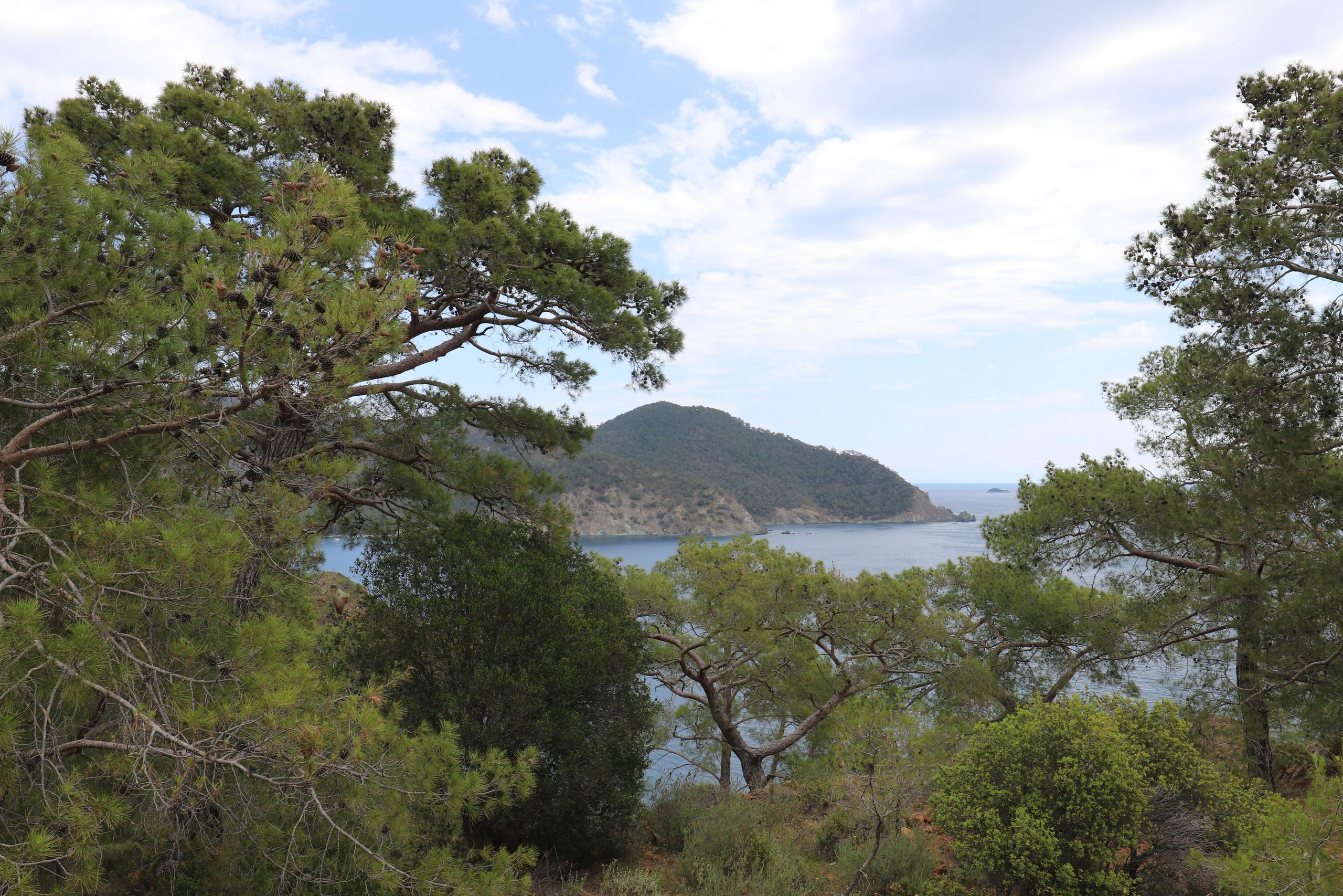 Турция. Чиралы. Май 2022 года. Путешественник-фотограф из Санкт-Петербурга Татьяна Свистулина