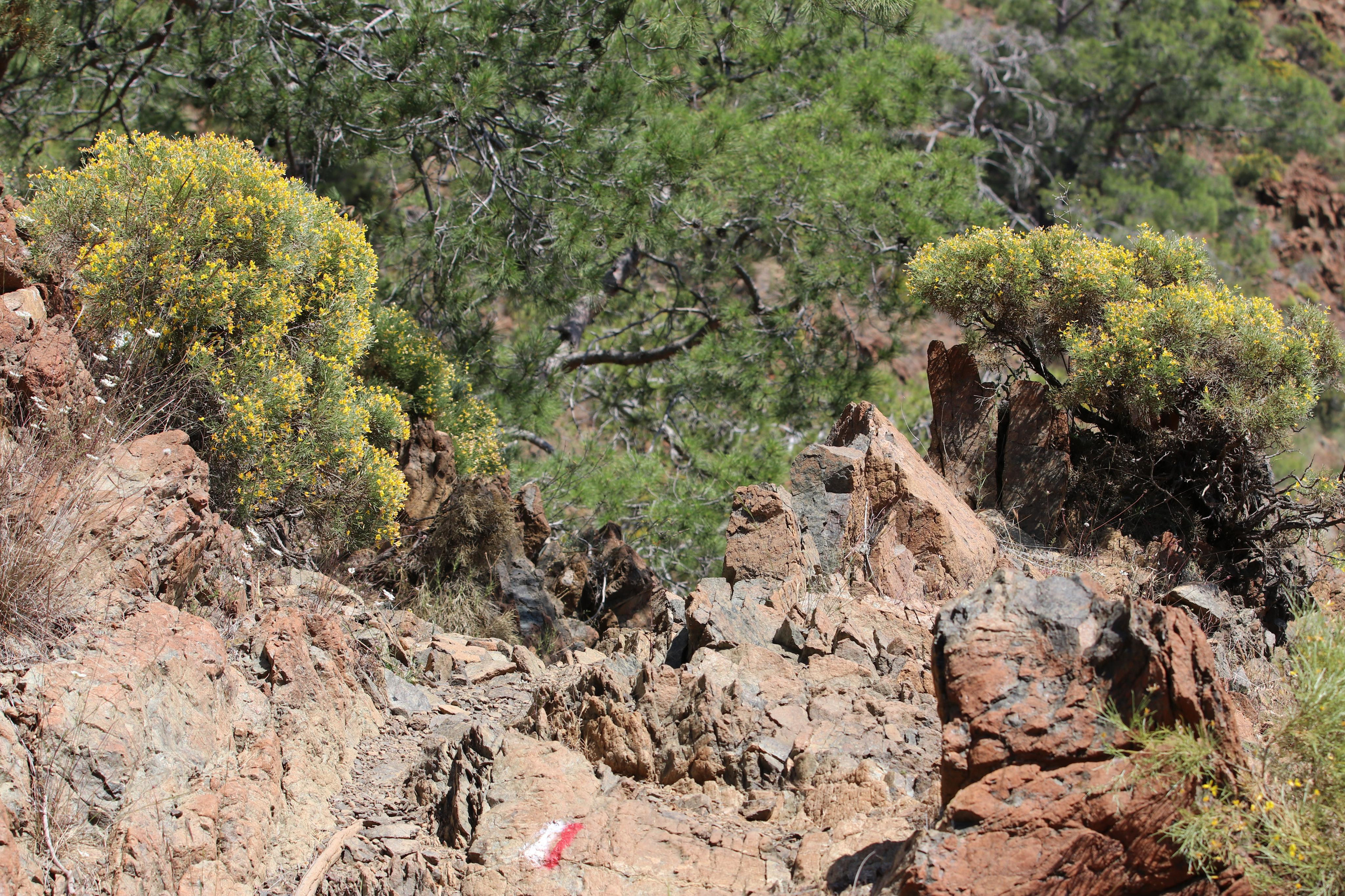 Турция. Чиралы. Май 2022 года. Путешественник-фотограф из Санкт-Петербурга Татьяна Свистулина