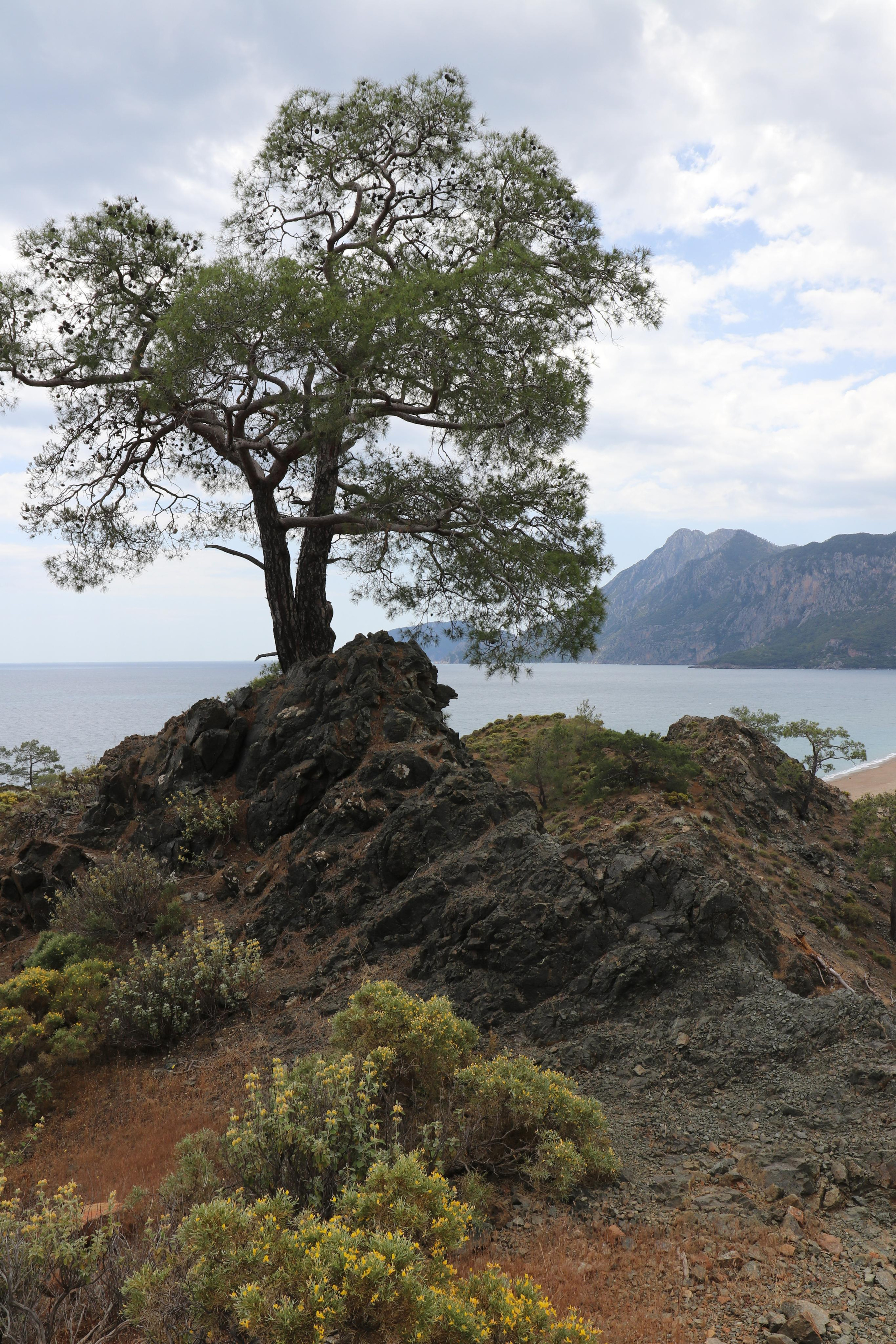 Турция. Чиралы. Май 2022 года. Путешественник-фотограф из Санкт-Петербурга Татьяна Свистулина