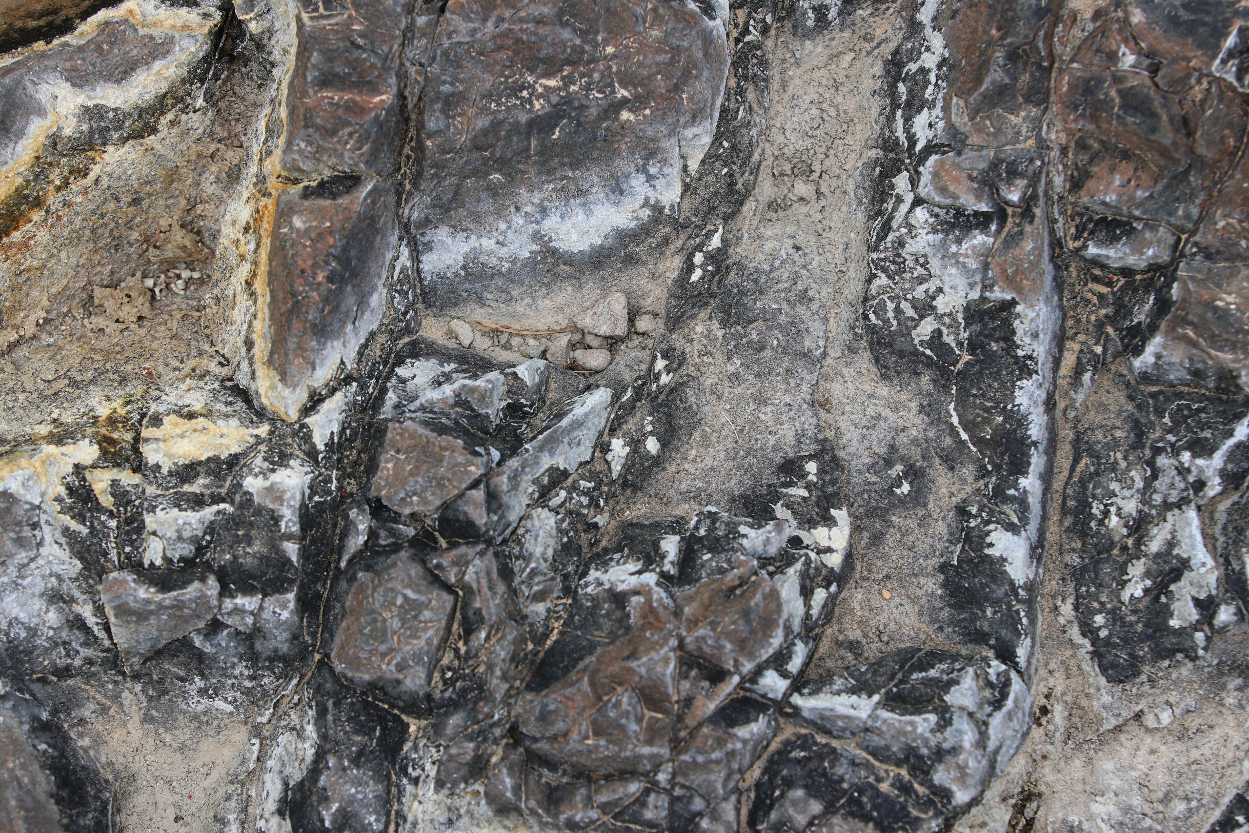 Турция. Чиралы. Май 2022 года. Путешественник-фотограф из Санкт-Петербурга Татьяна Свистулина